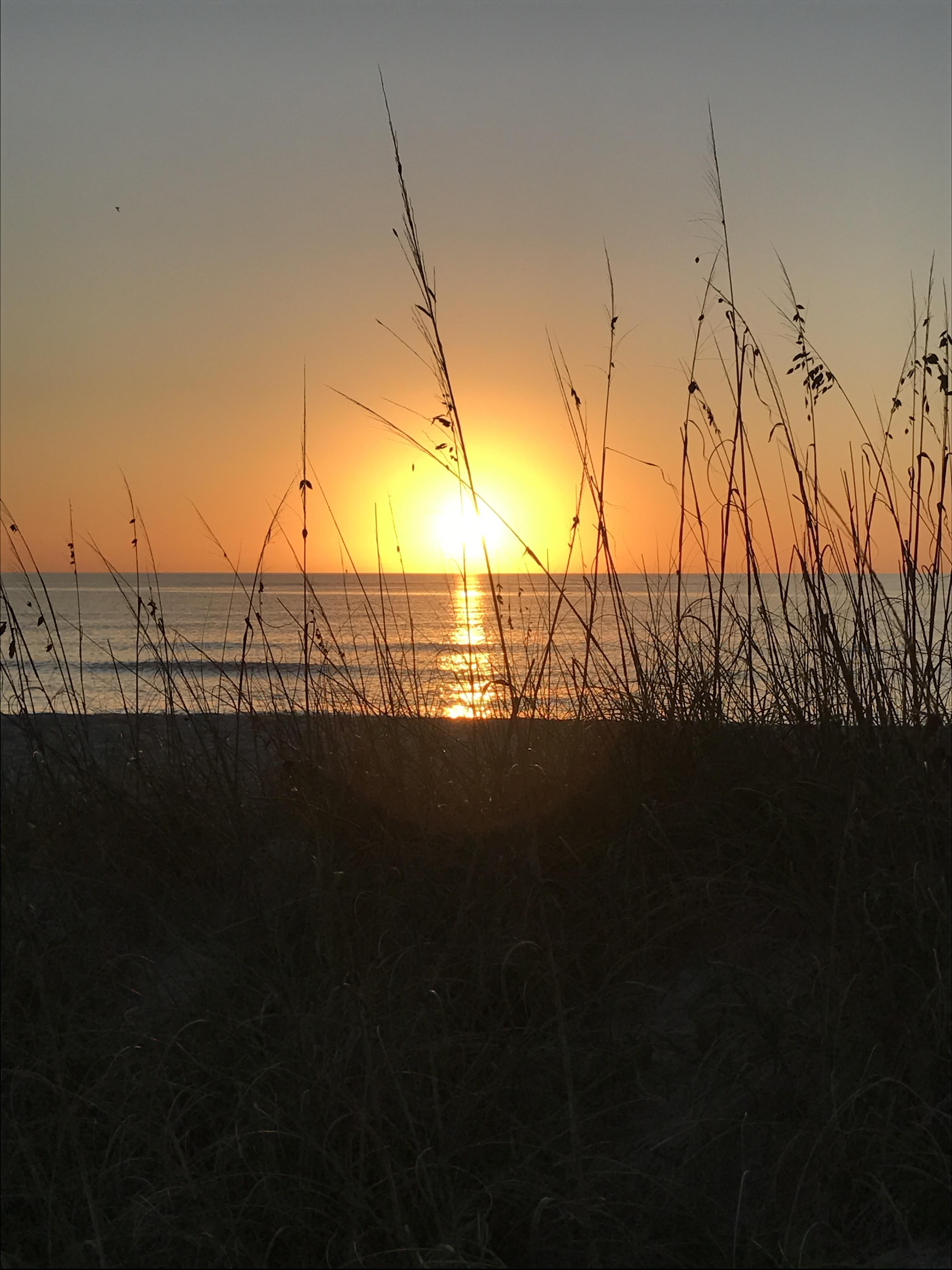 Took this in Florida on Captiva Island r/iphonewallpapers