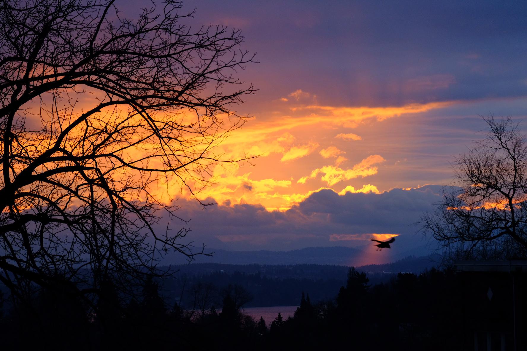 Sunrise over Bellevue this morning, taken from 23rd Seattle