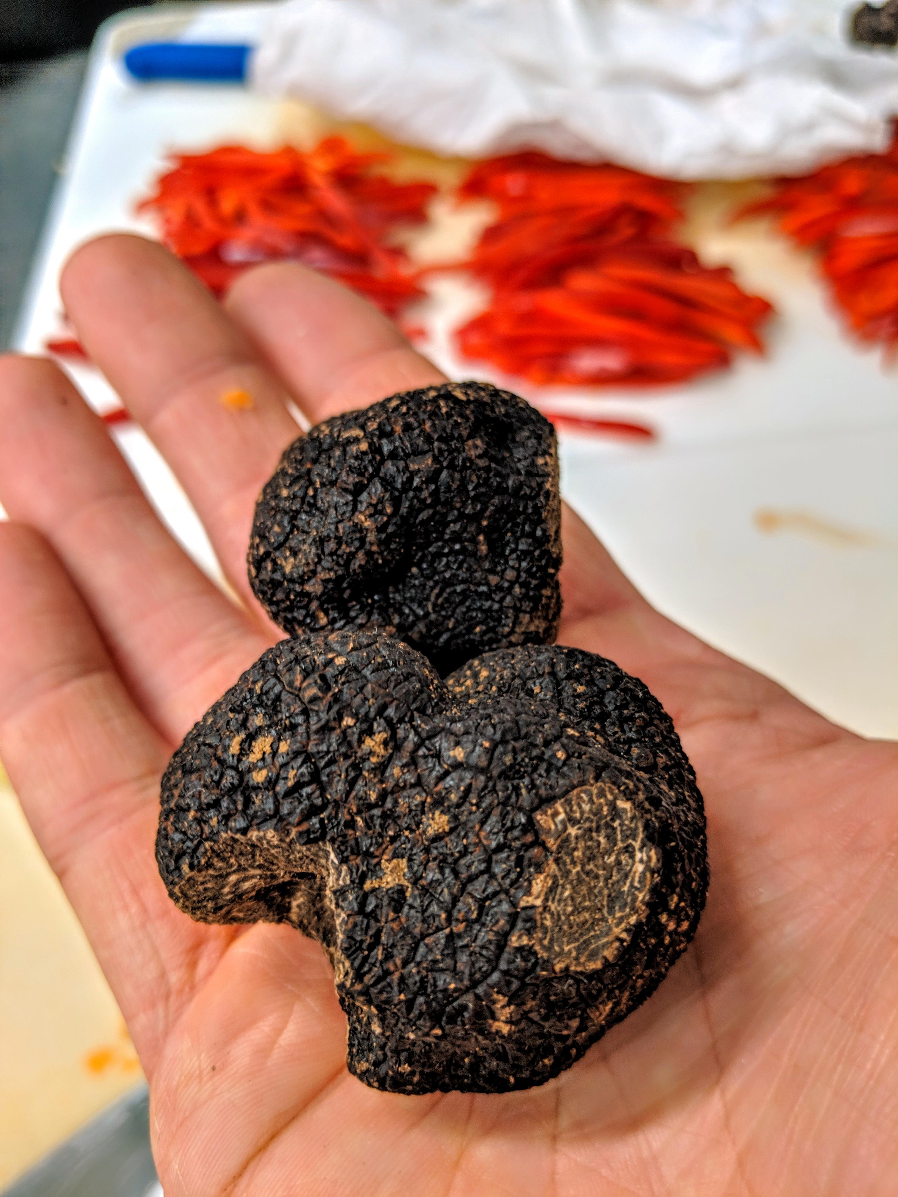 We got black truffles at work to celebrate our first year open! This is