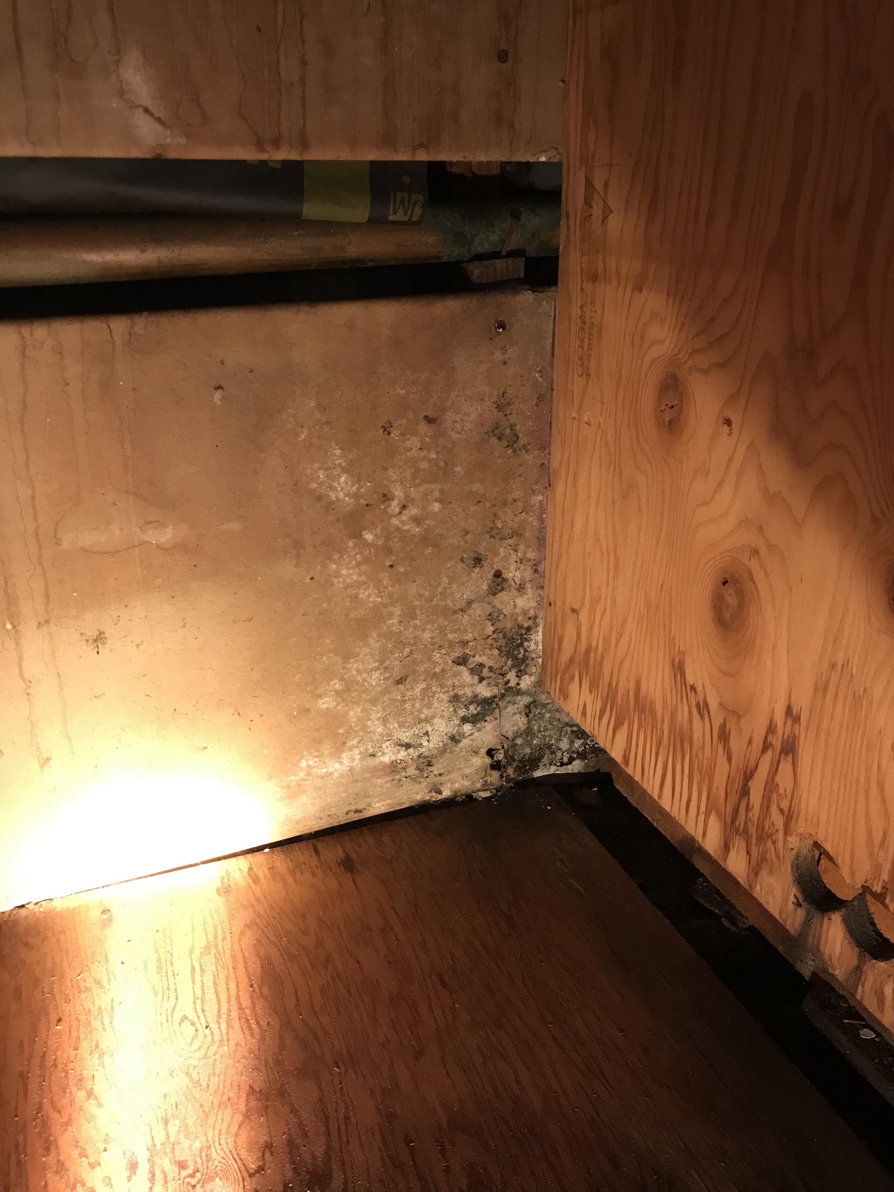 First time homeowners, we discovered this mold behind the old