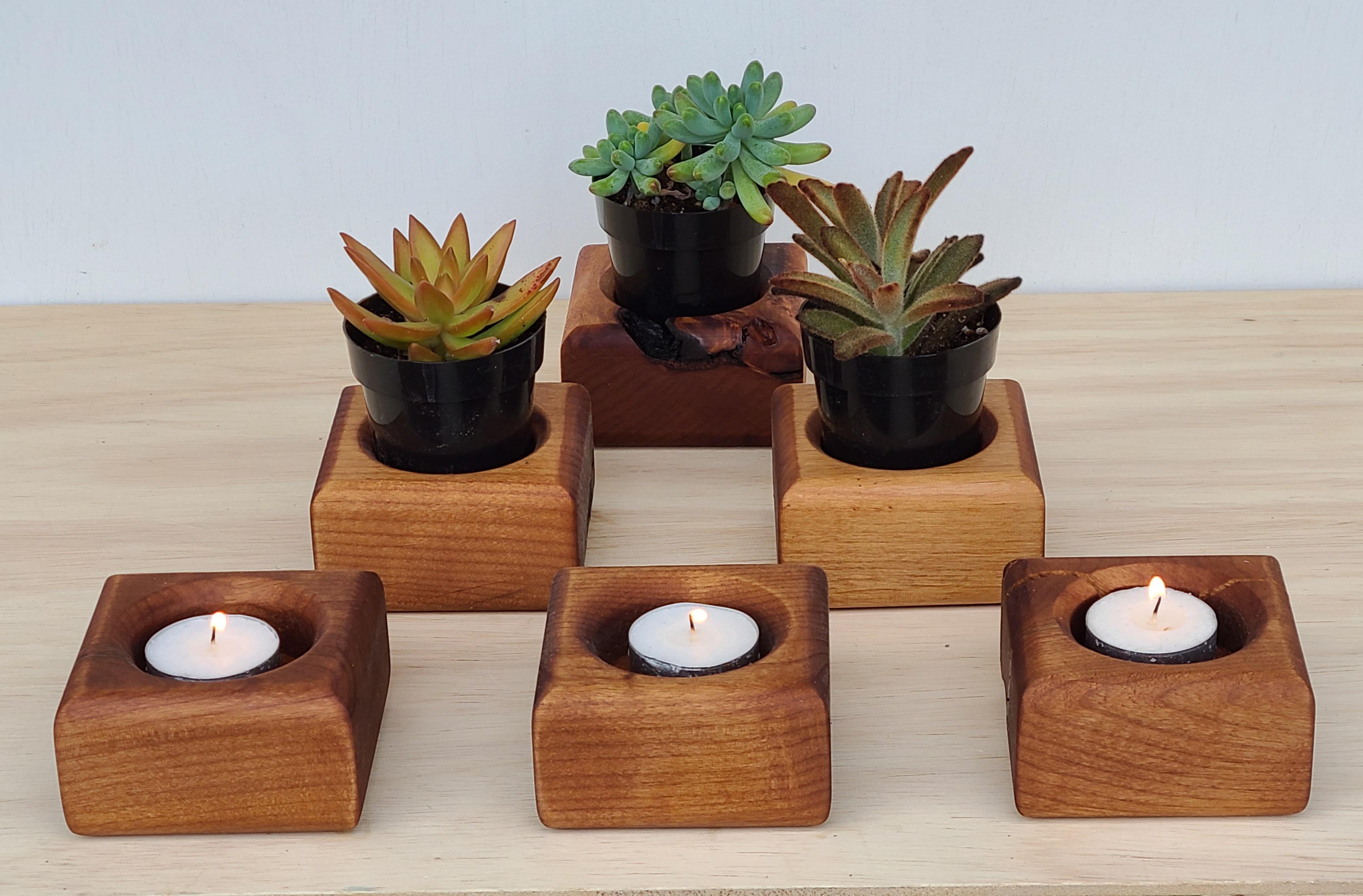 Mini plant holders r/woodworking