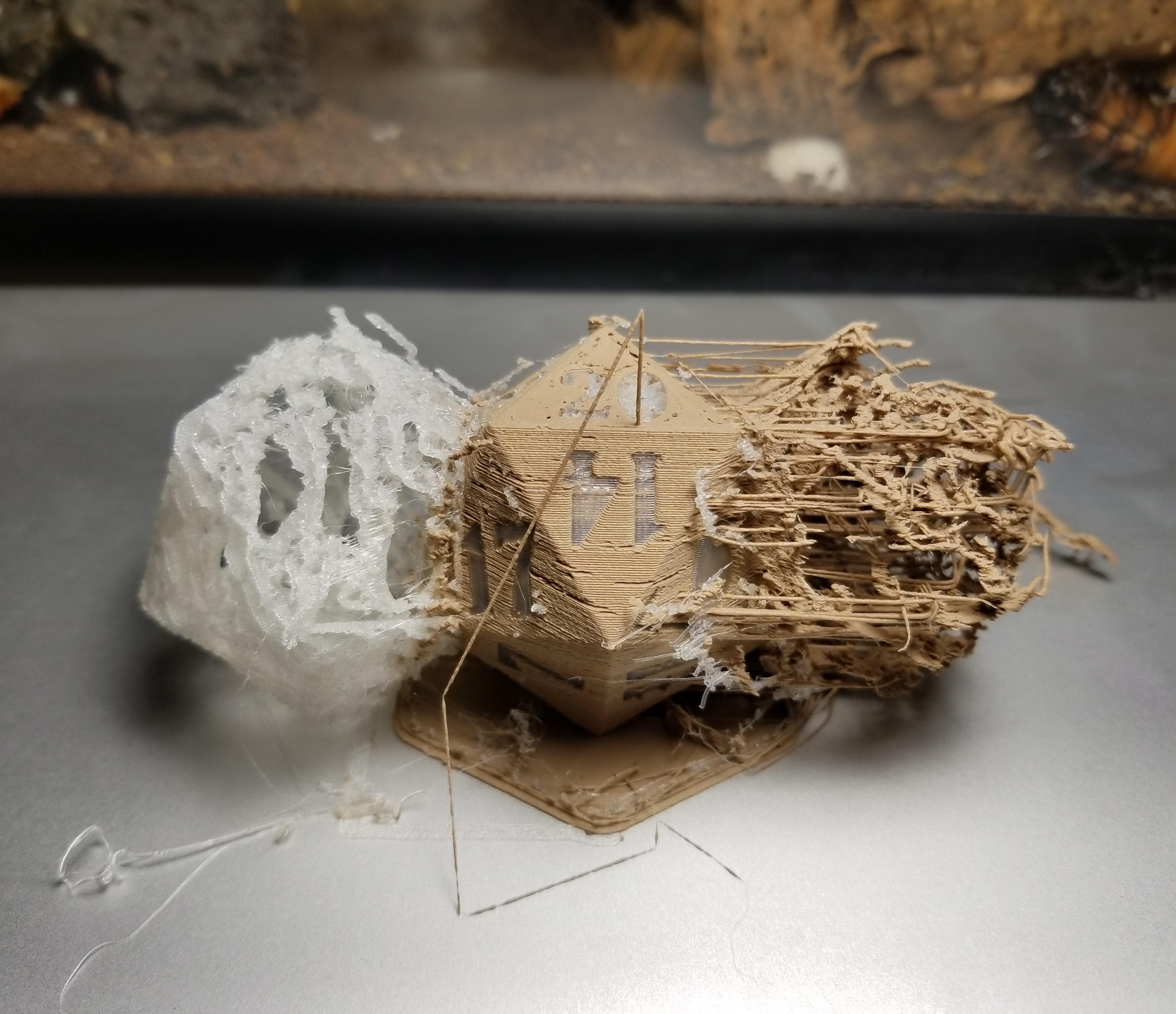 Dual extrusion's ooze shield turned out quite interesting