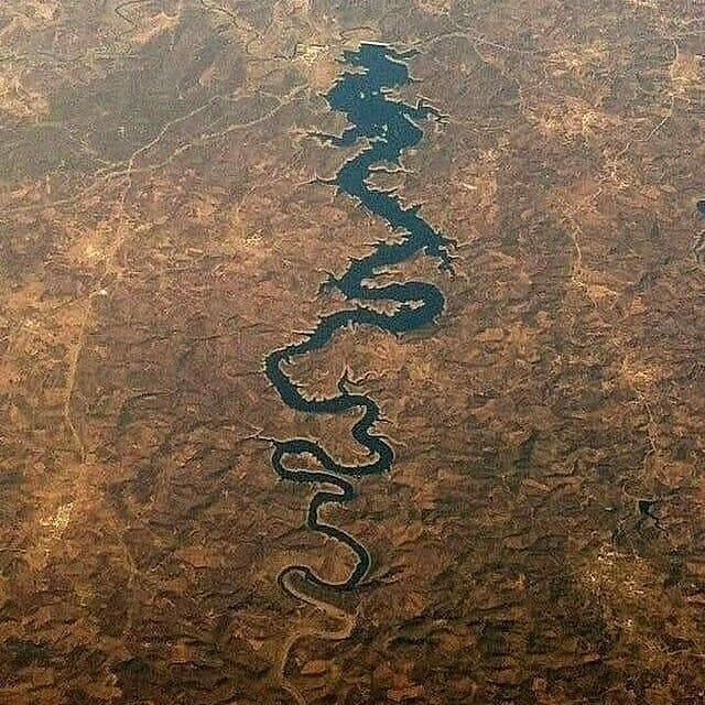 Is the 'Blue River Dragon' Photo Real?