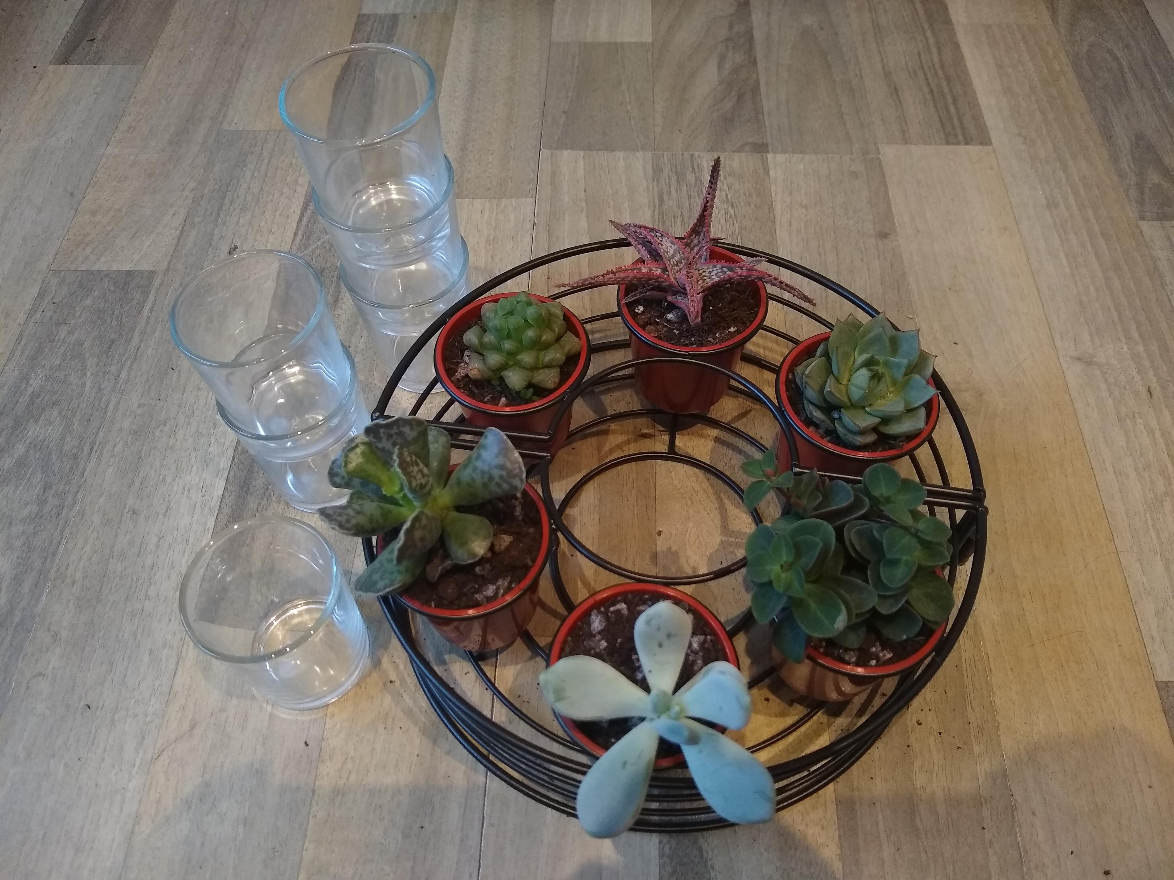Candle holder > plant pot + 6 "shot glasses" 😁 r/plantsandpots