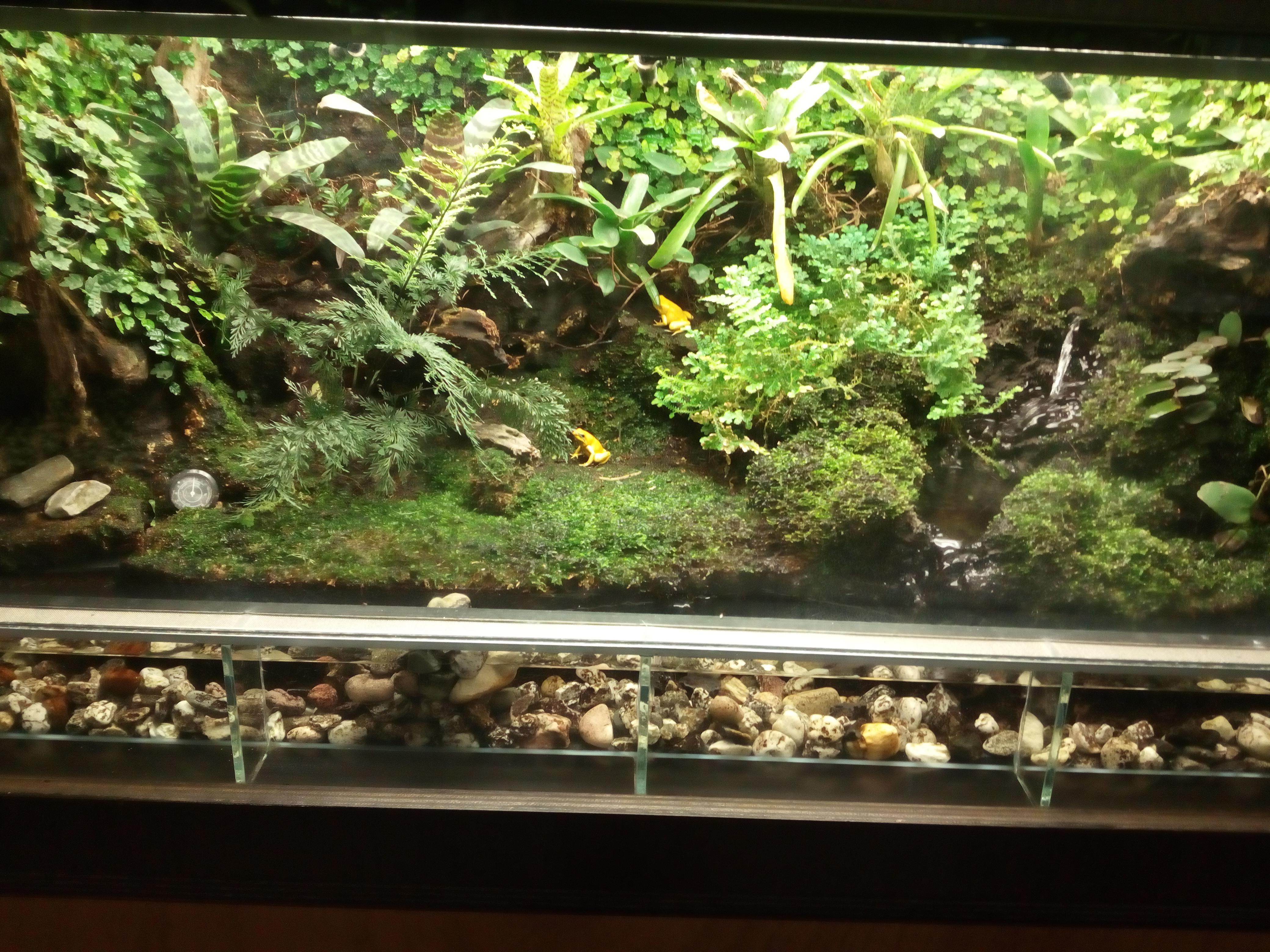 A beautiful terrarium I saw at a zoo yesterday r/terrariums