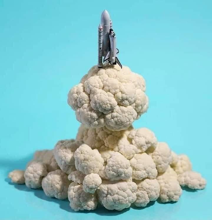 vegan rocket launch r/vegan