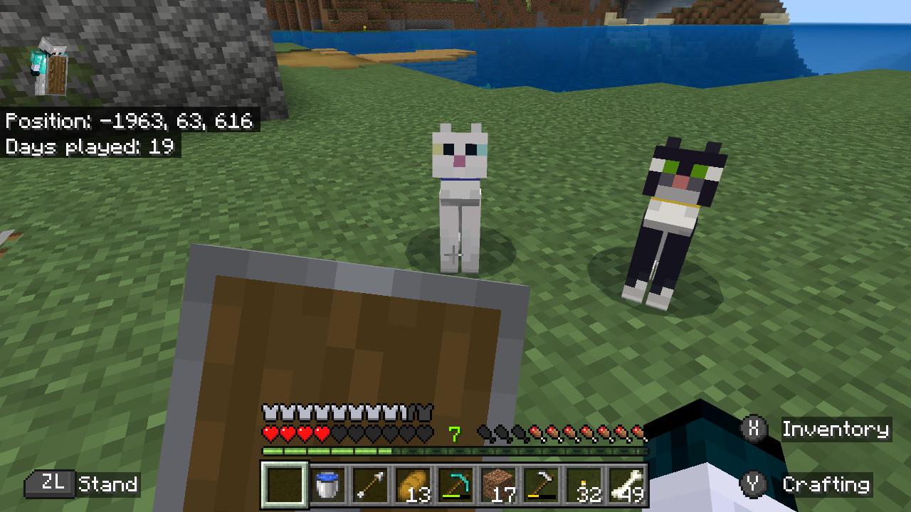 What should I name my cat (white one) r/Minecraft