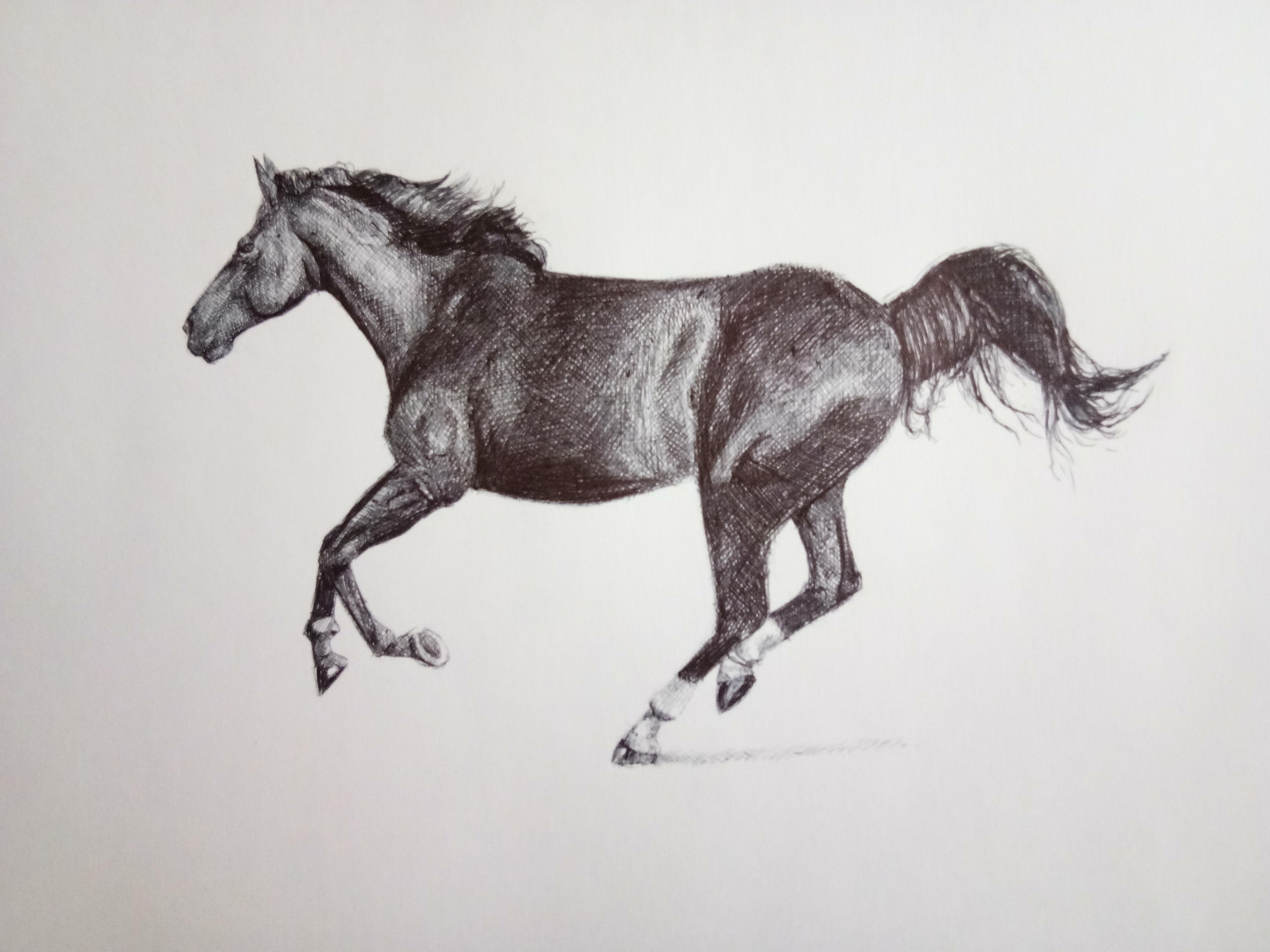 Horse, art by me, pen and ink, 2022. r/Art