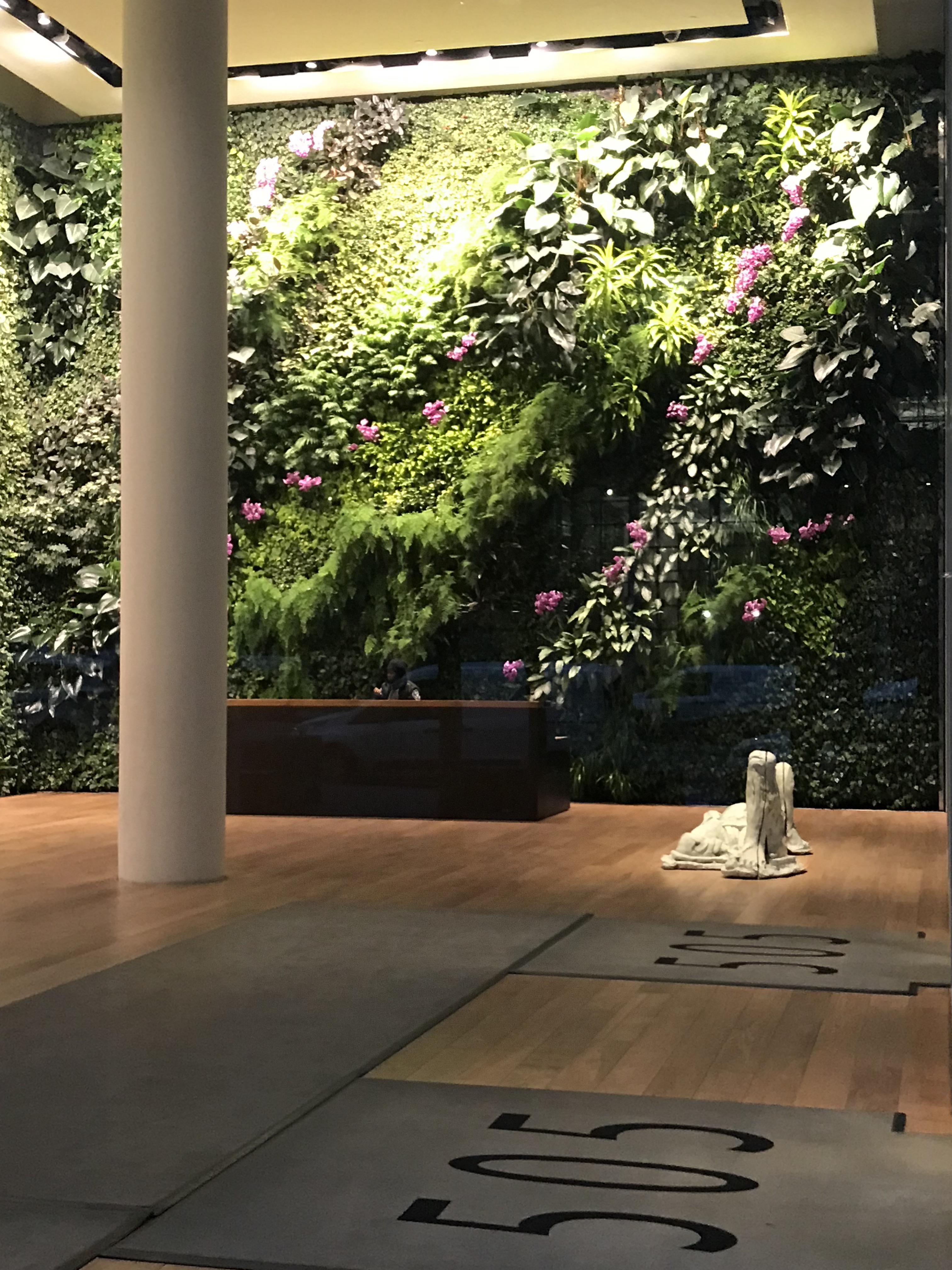 Diy Living Wall Reddit We Put Up A Green Wall Aka Living Wall