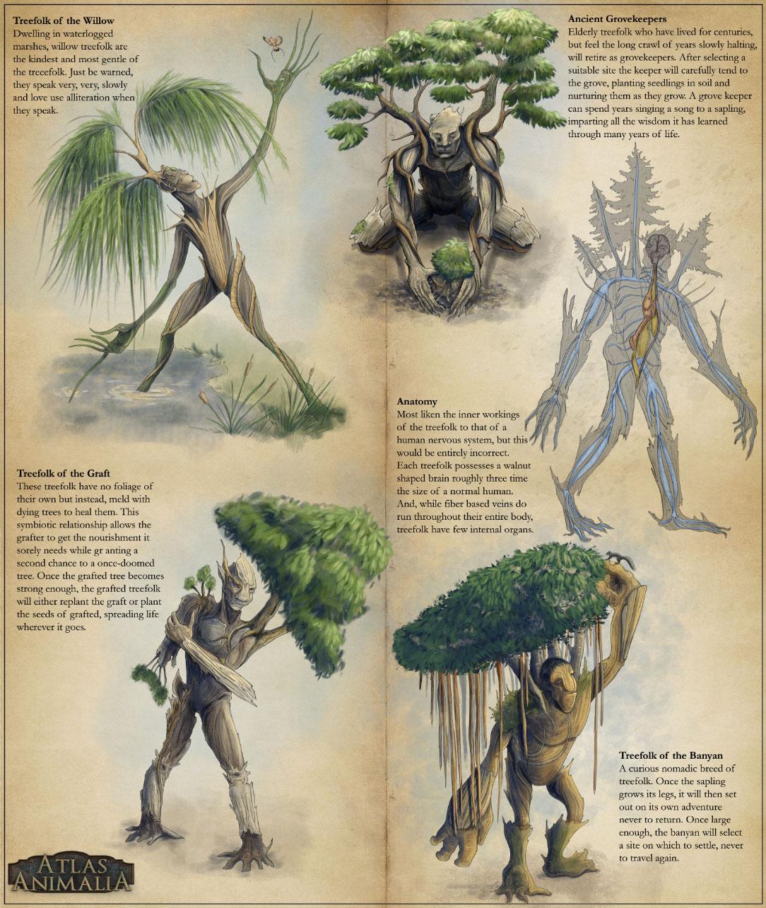 [Art] Treefolk Creature art and variants r/DnD