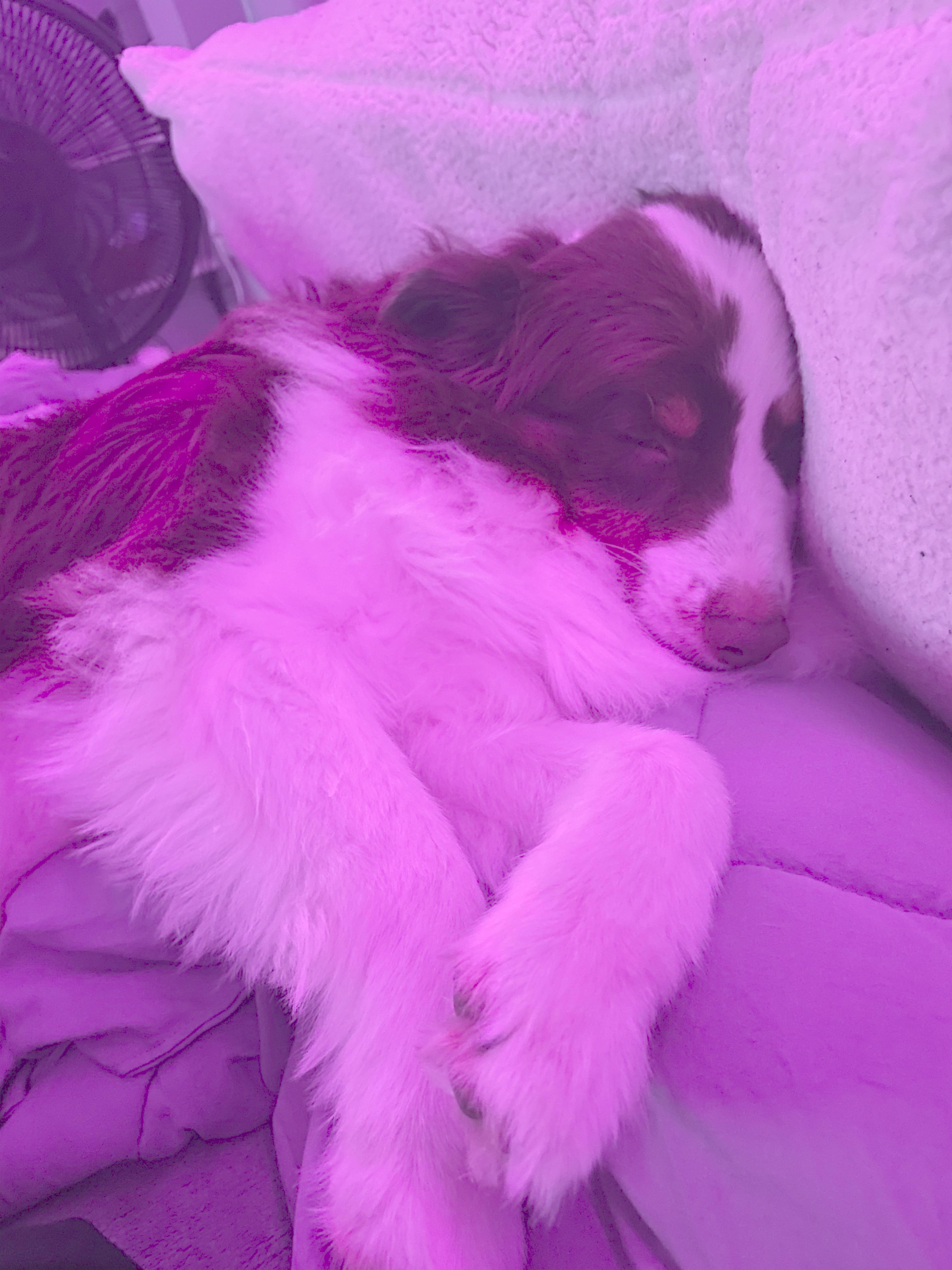 Exhausted r/Eyebleach