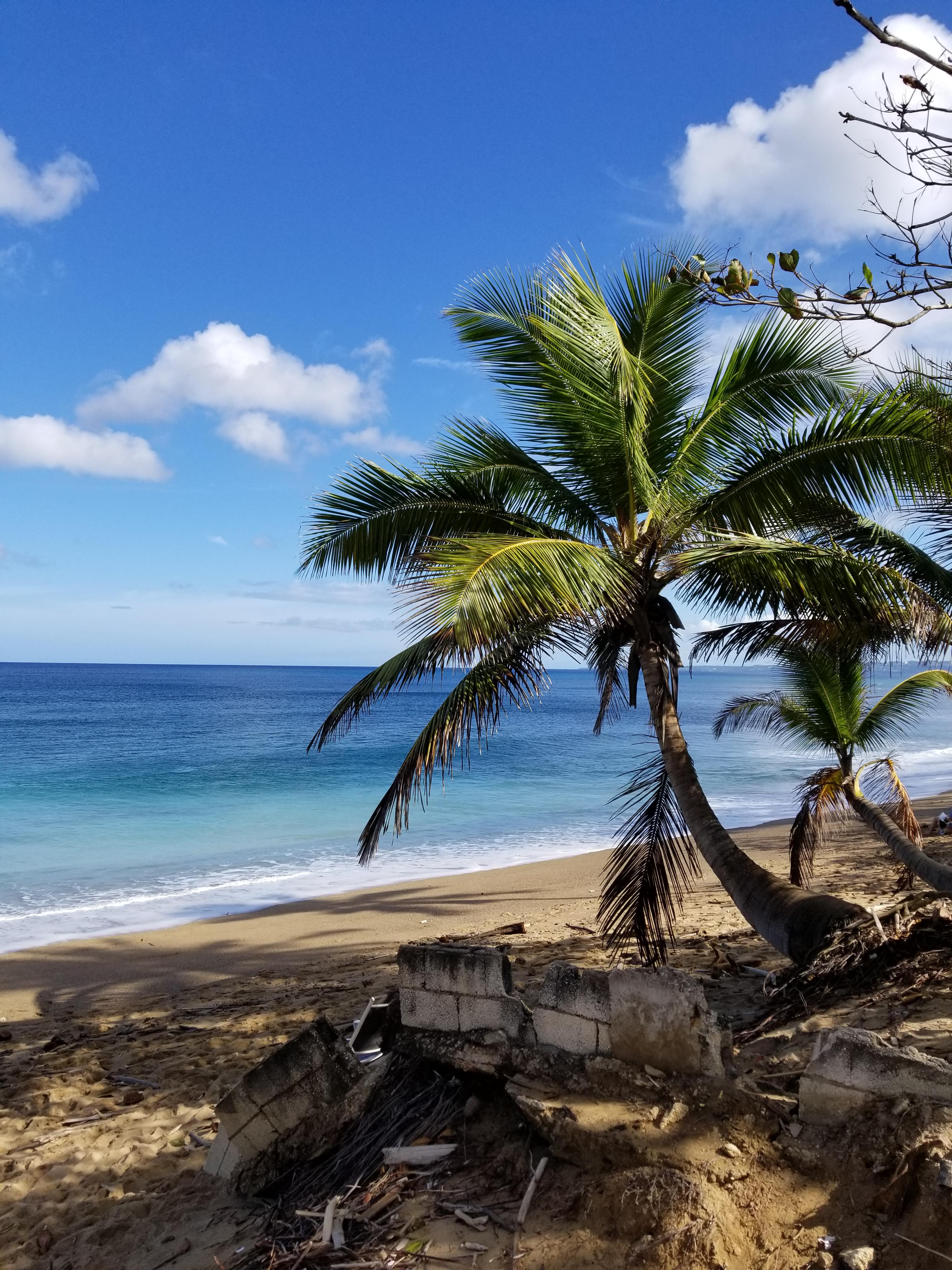 Sandy Beach Rincon Puerto Rico Hot Sex Picture