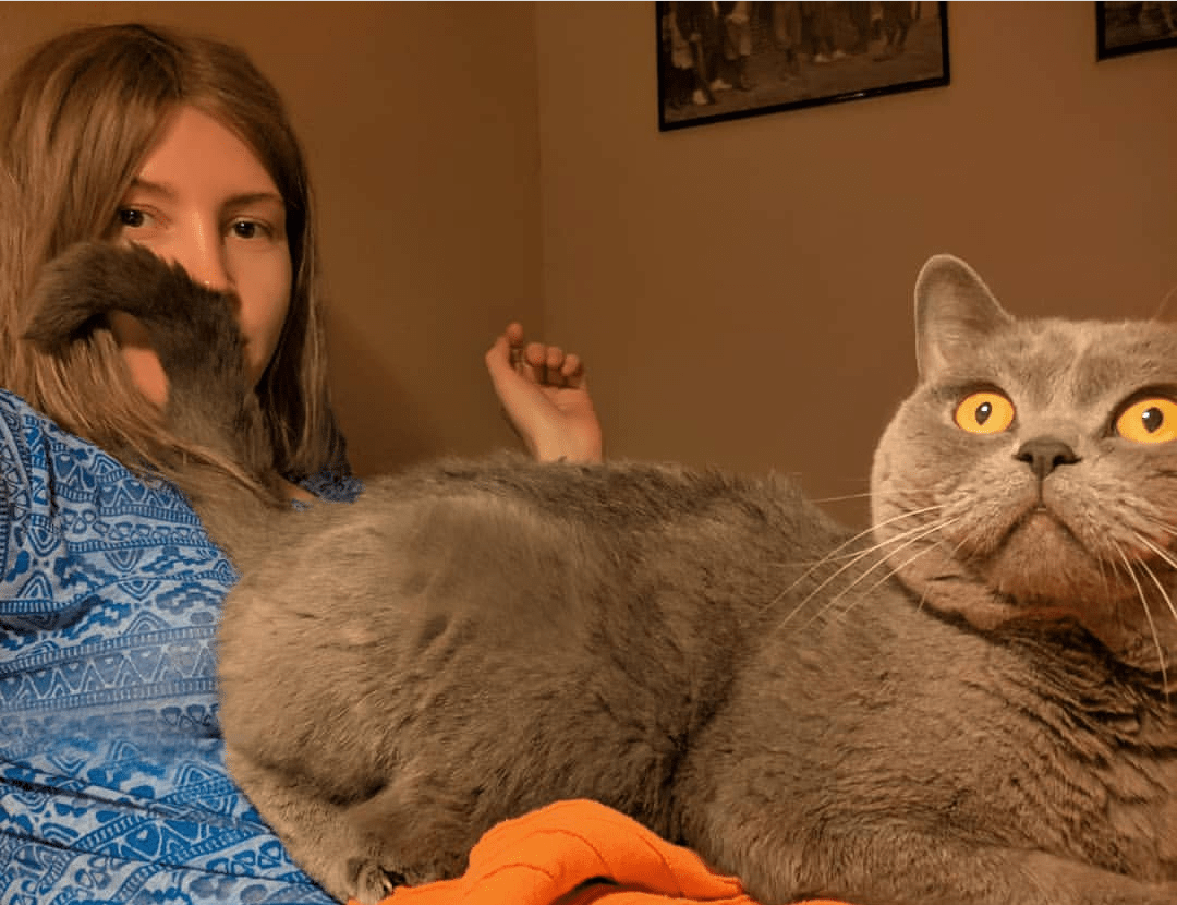 my cat comes to me every night and always lays back to me and puts his