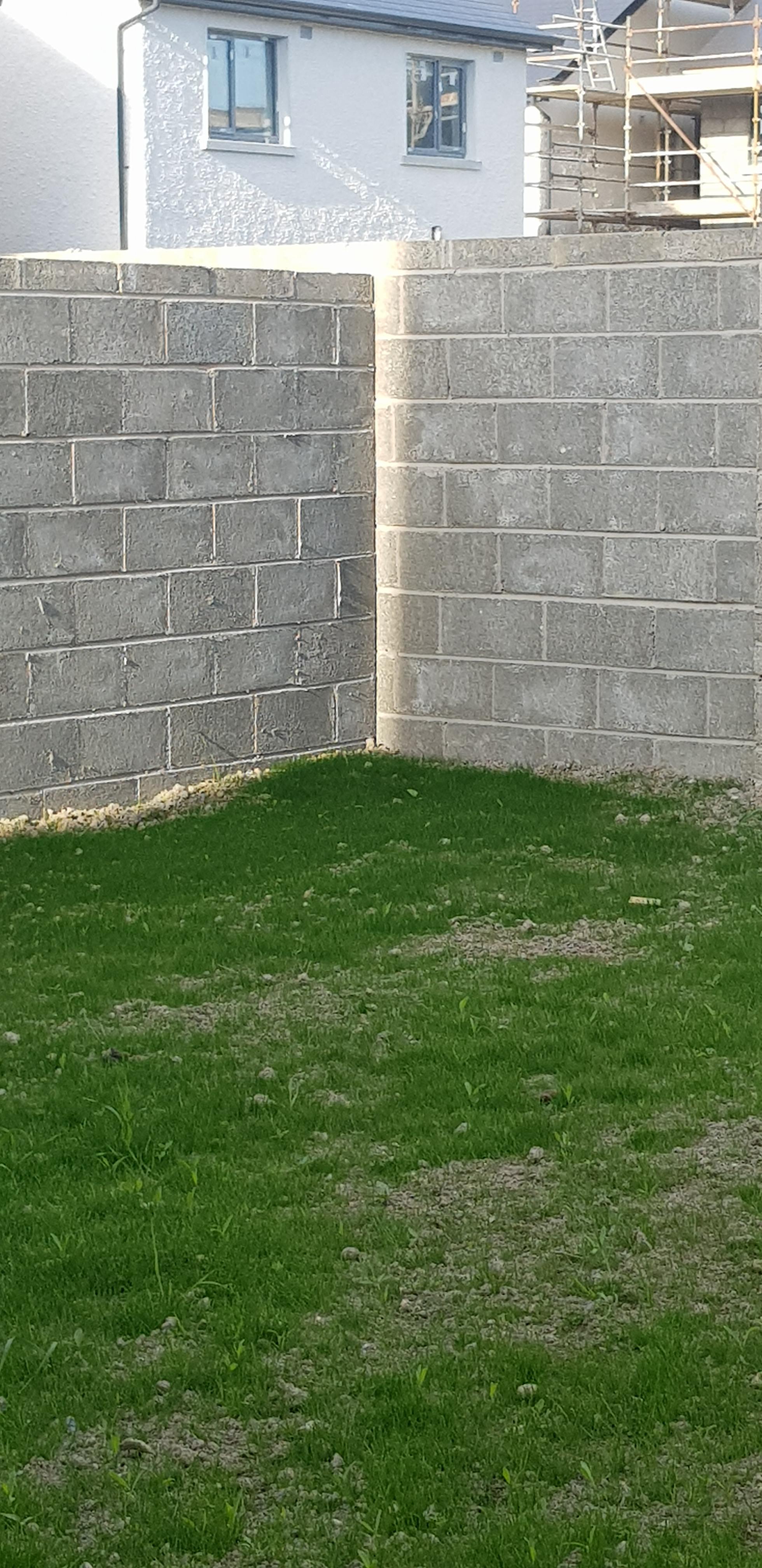 Rising sun lighting the corner of my garden r/mildlyinteresting