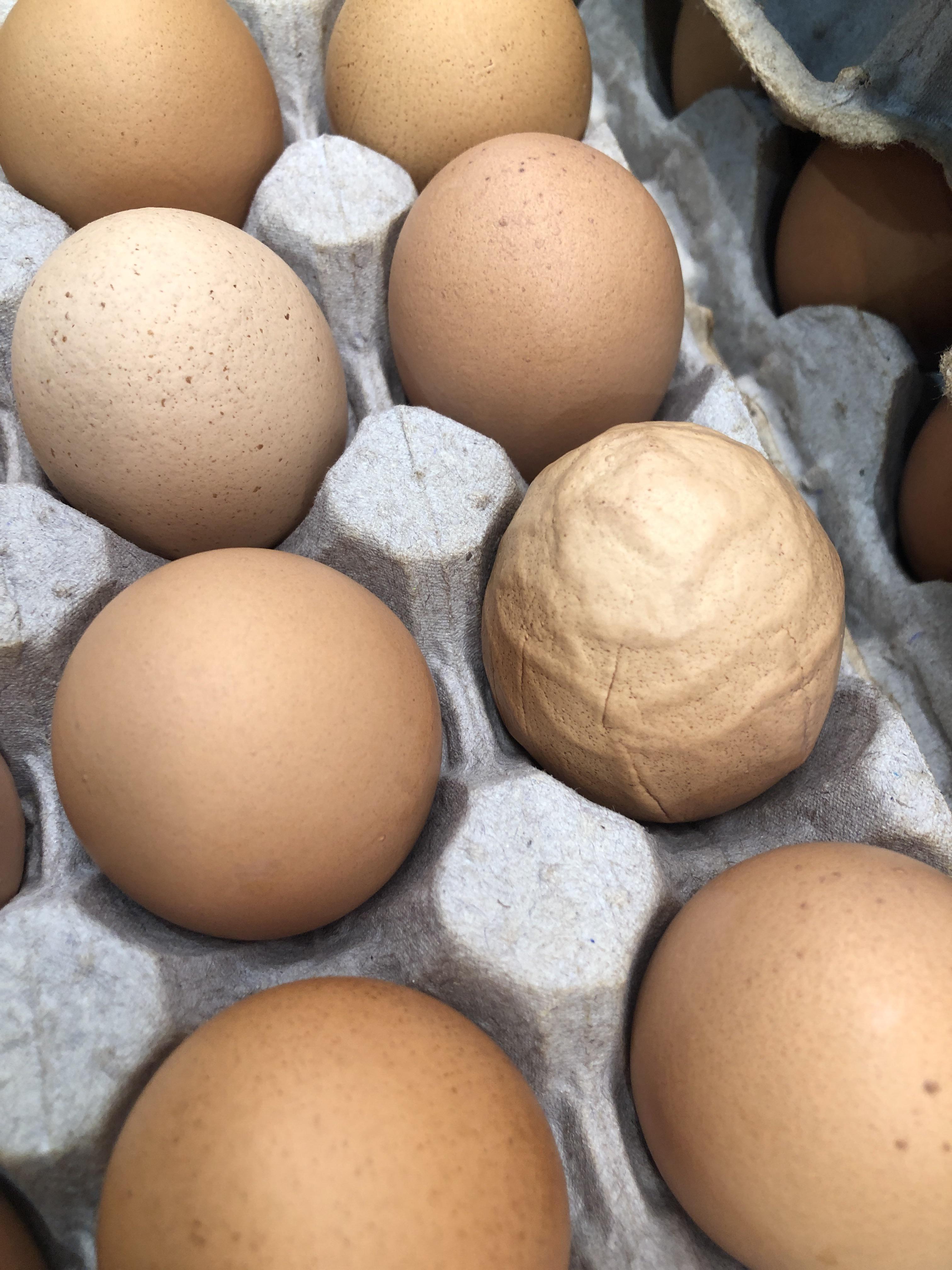 The wrinkles on this egg shell r/mildlyinteresting