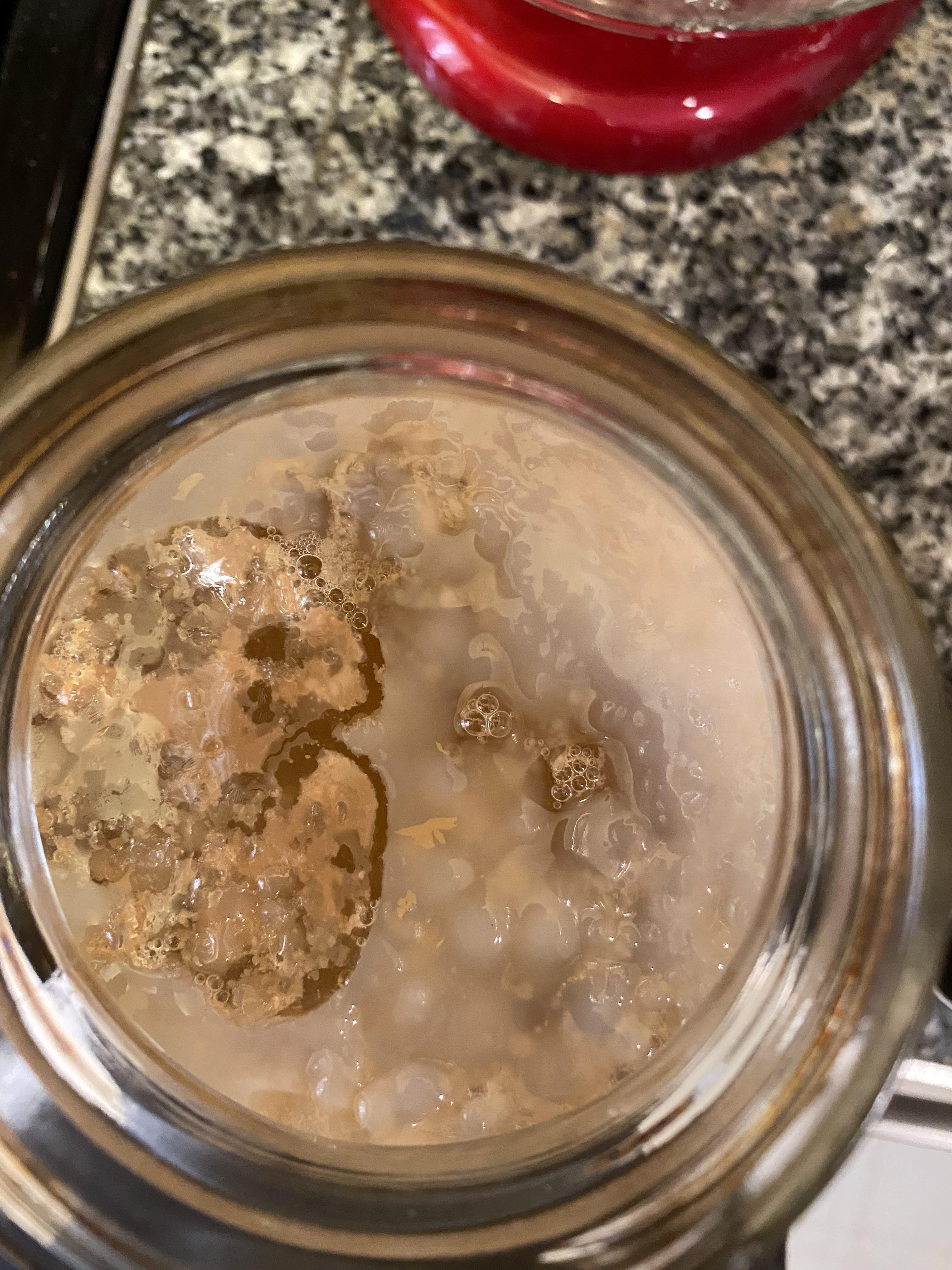 What is this nasty spot on my SCOBY? Start over or keep going? r/Kombucha