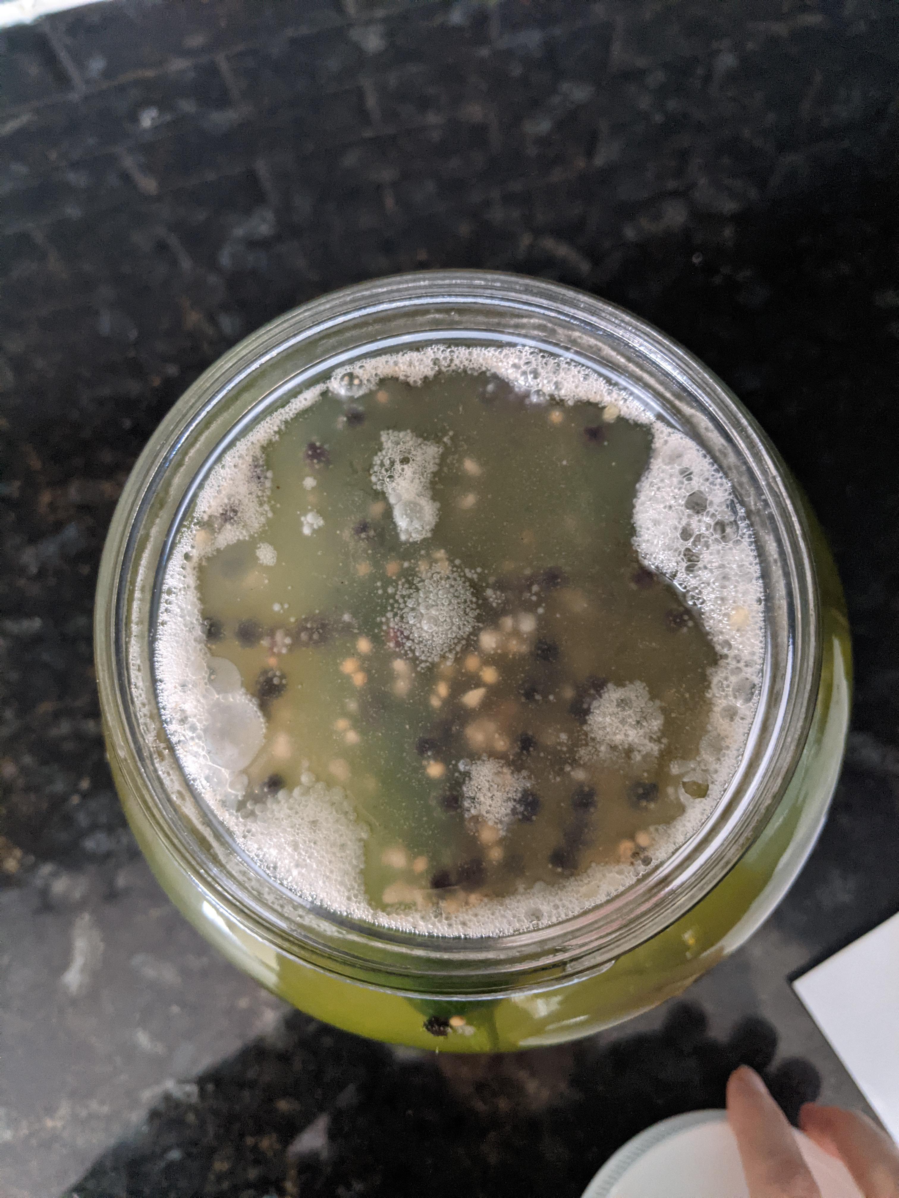 Mold When Fermenting at Ana Finlay blog