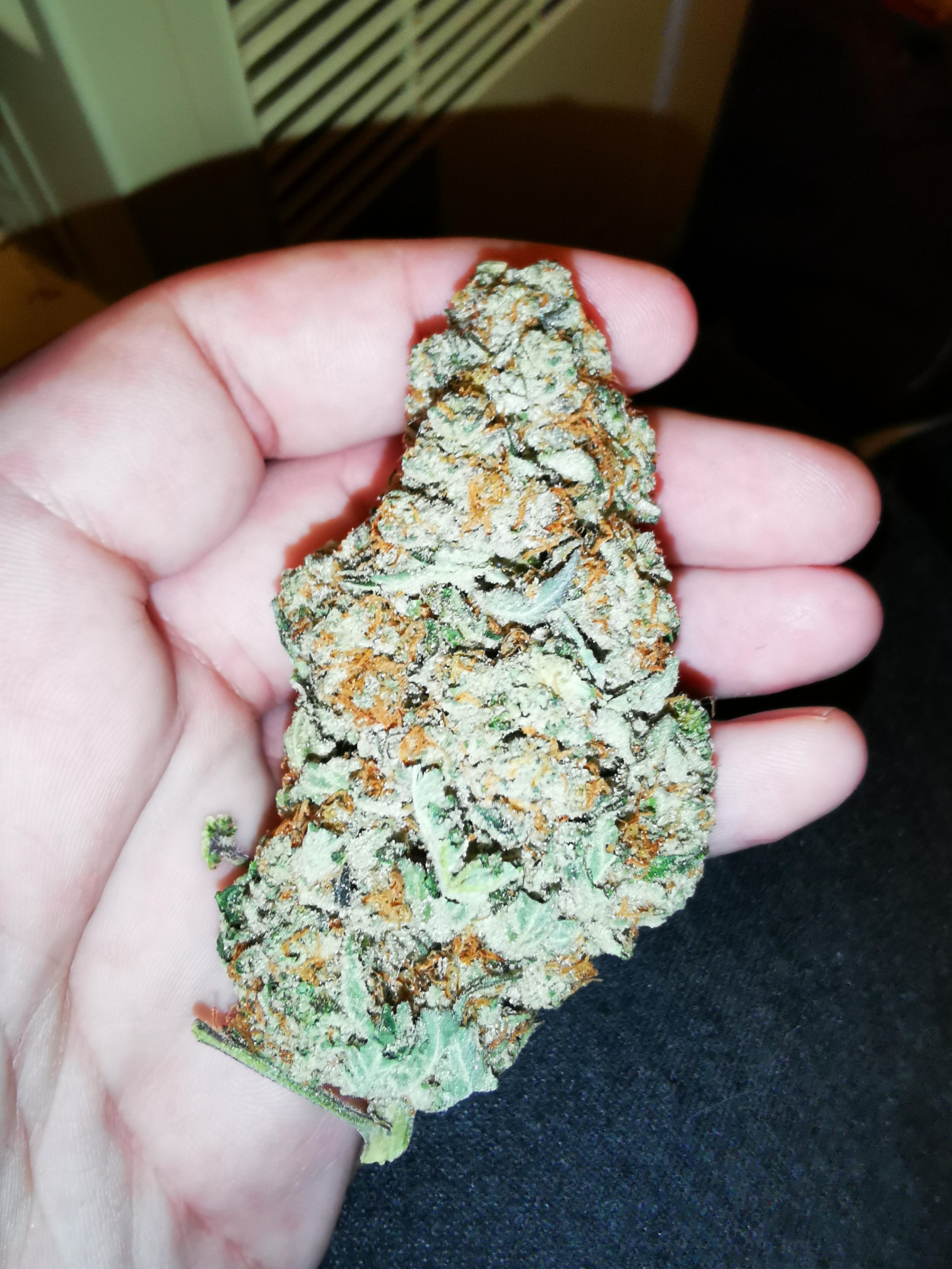 The biggest nug of stardawg I've ever ever seen. A full 7.8 grams. uktrees