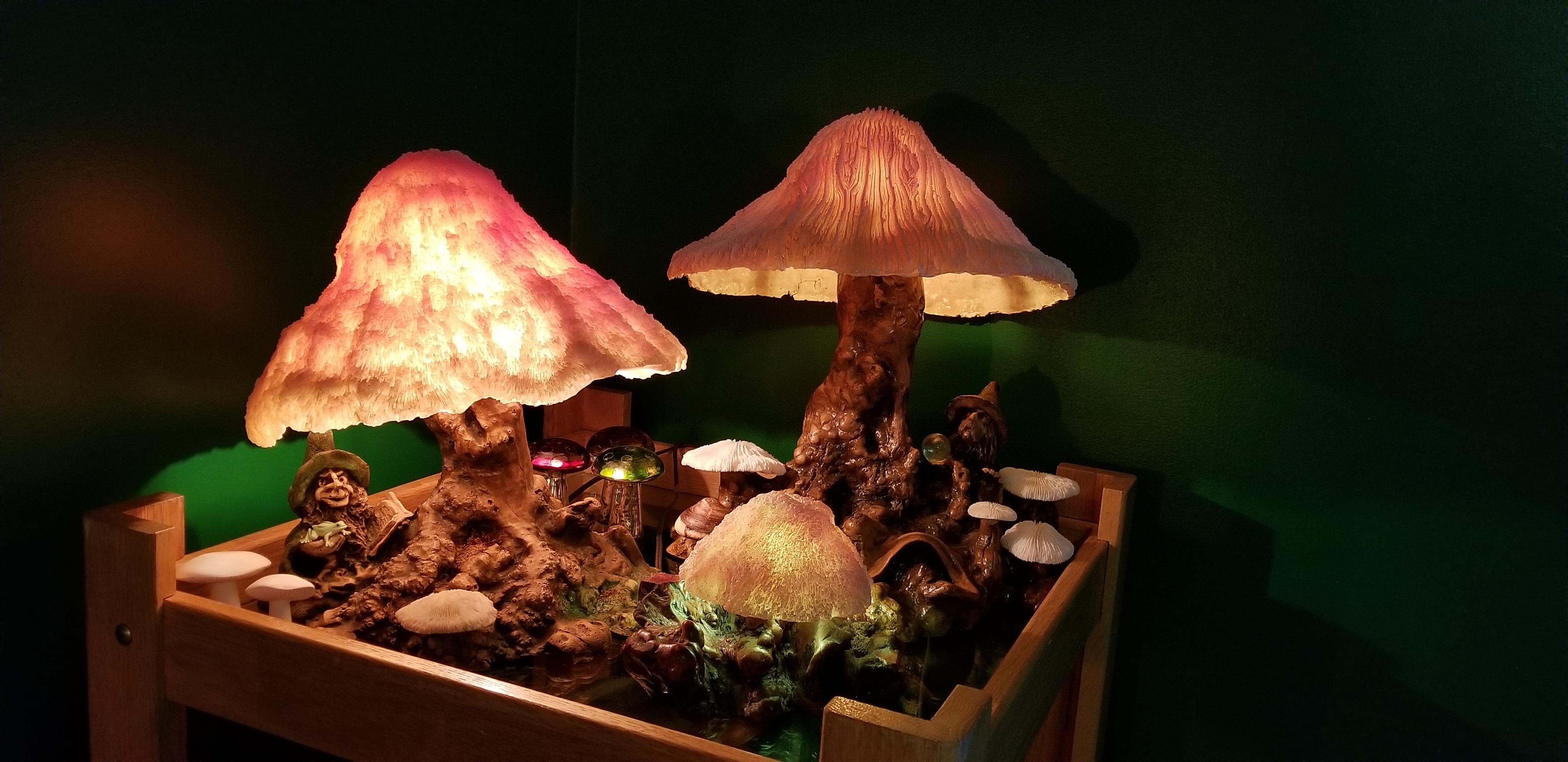 Coral mushroom lamps. r/pics