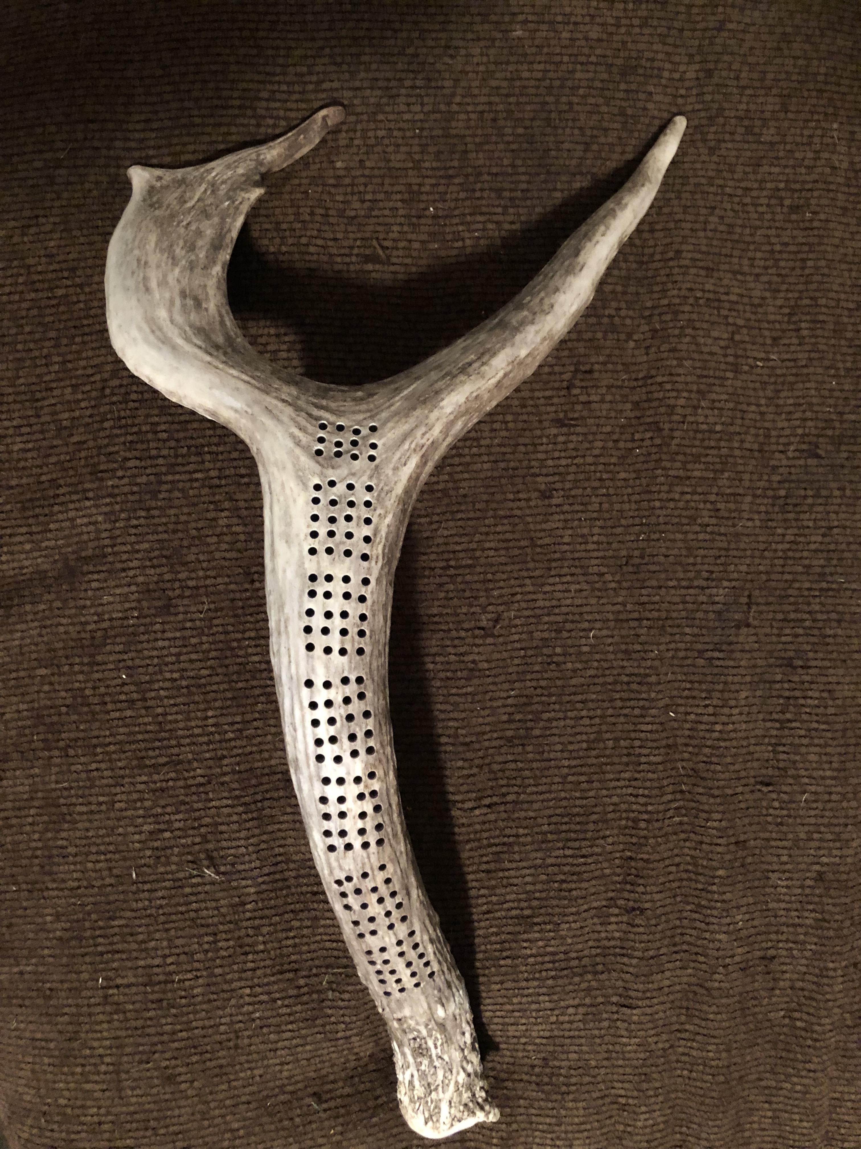 Friend has an antler board! Bought pegs just to play on it. From