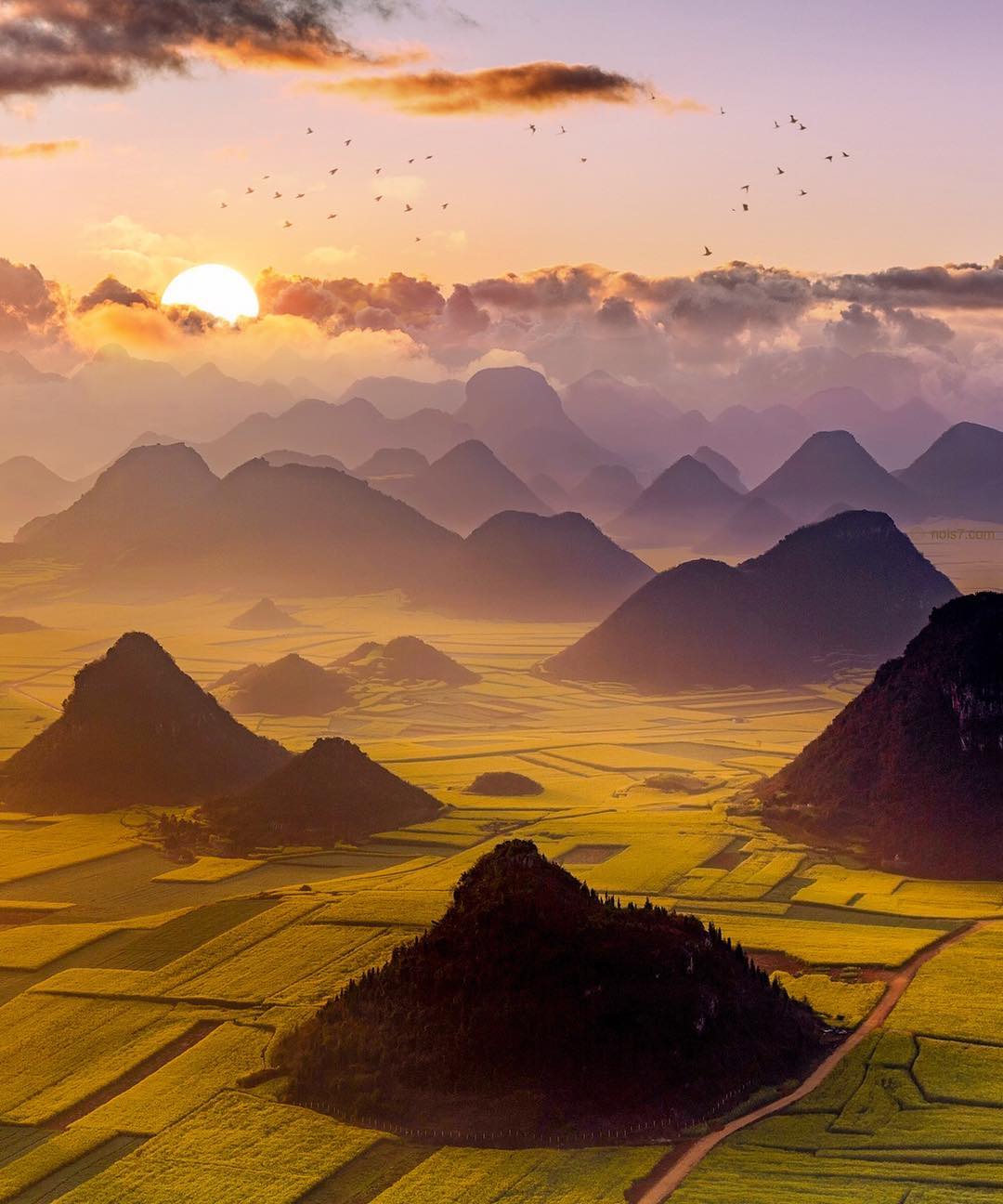Stunning sunset in Luoping, Yunnan, China. r/pics