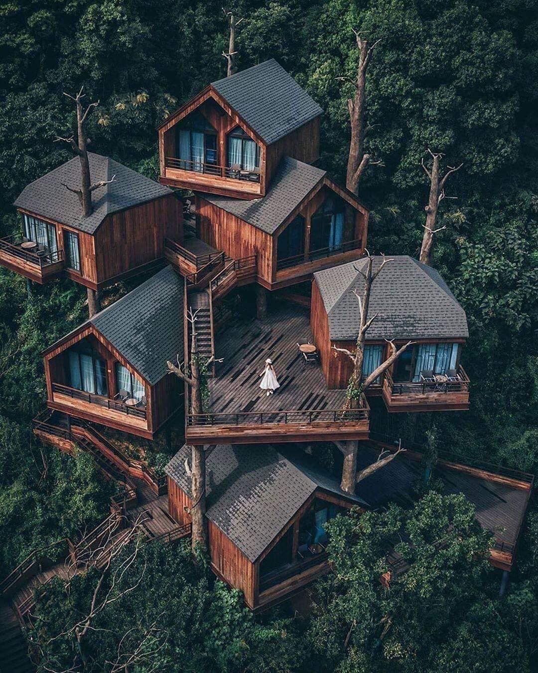 Tree house in Hangzhou, China r/pics