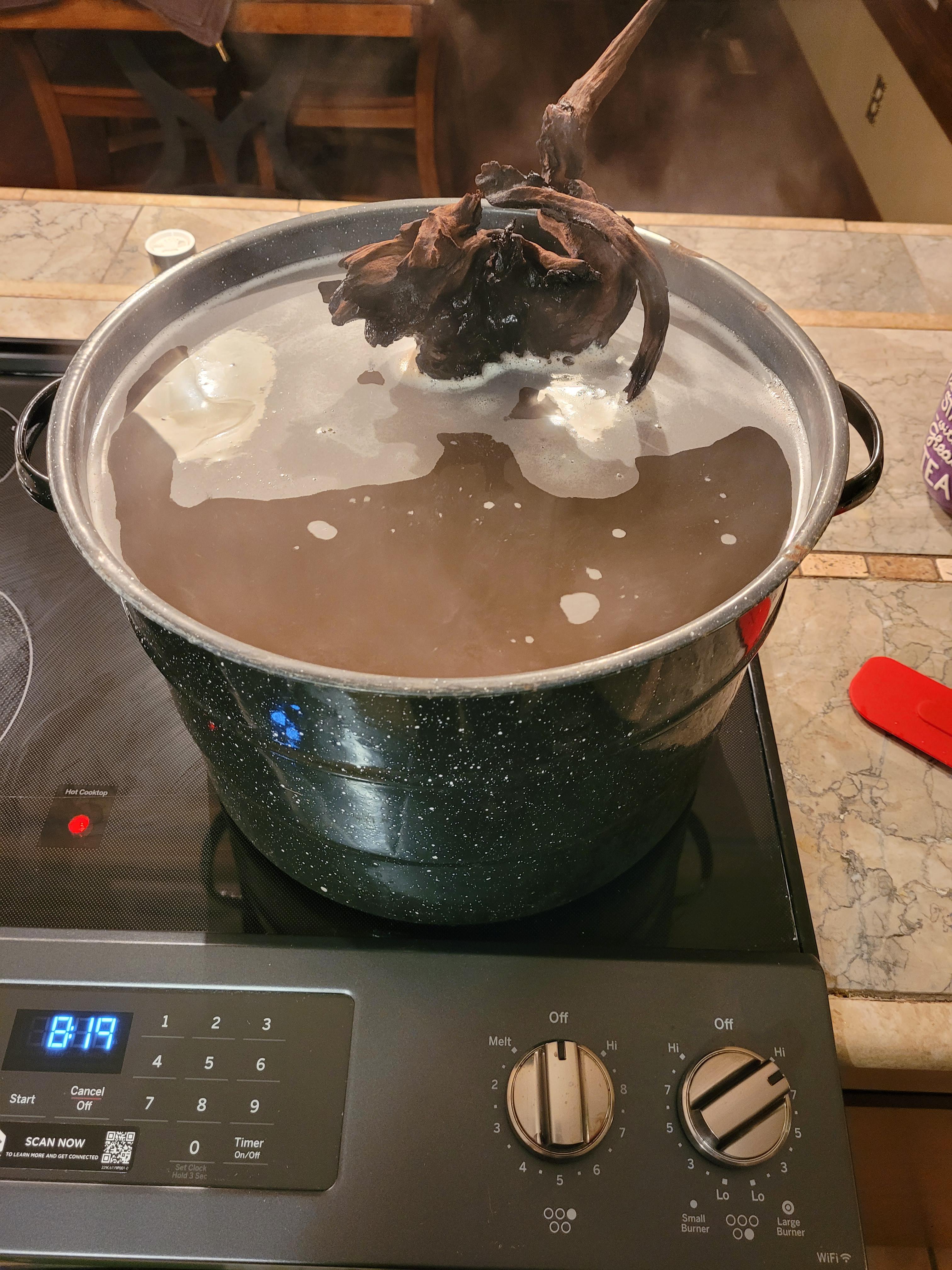 First time ever having to boil driftwood let's see if this helps r