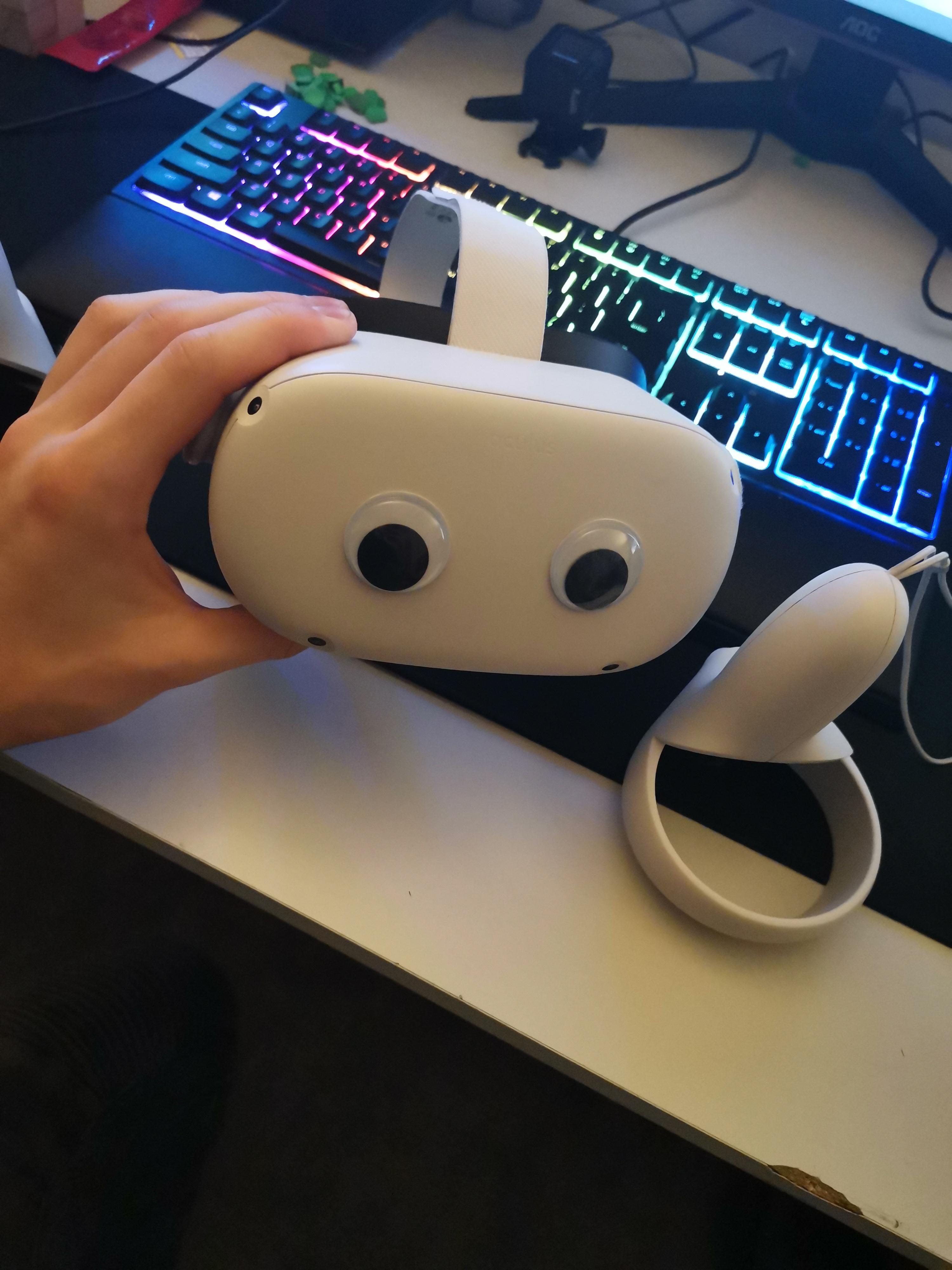 Joined the googly eye Quest club. r/OculusQuest
