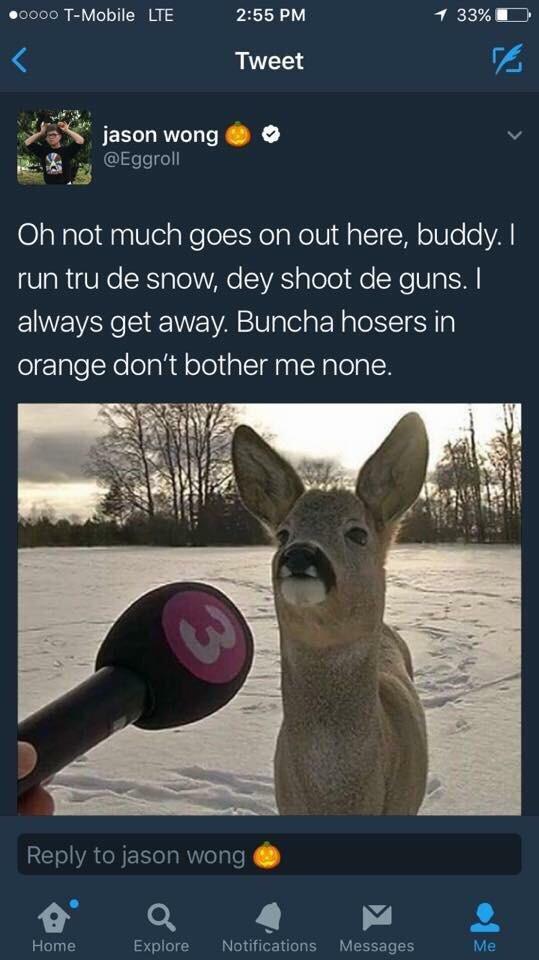 Canadian deer memes