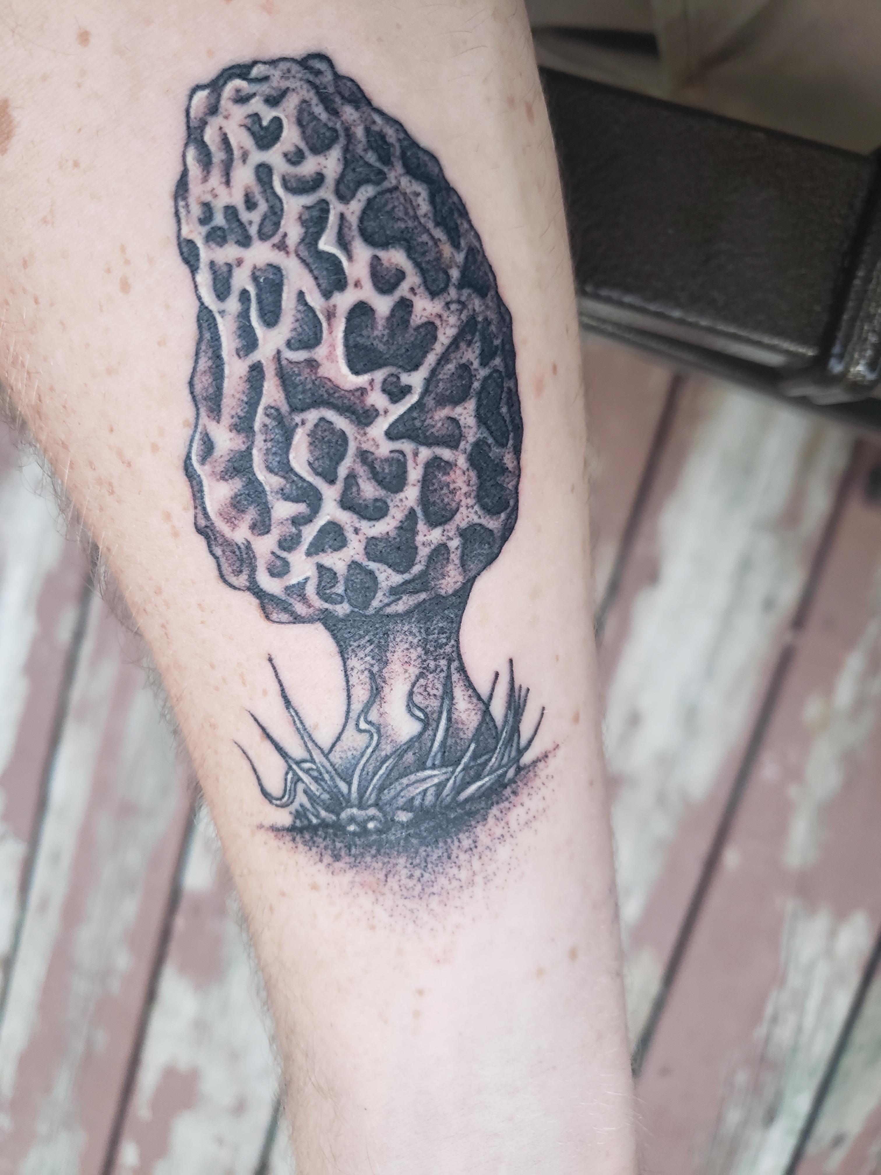 Morel mushroom I got done in Montreal. tattoo