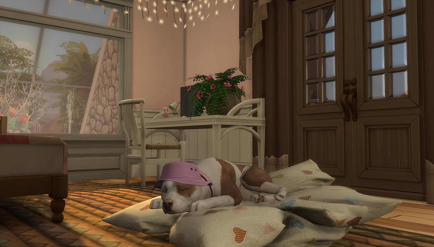 My sim's dog is so cute when he's sleeping.💤 r/thesims