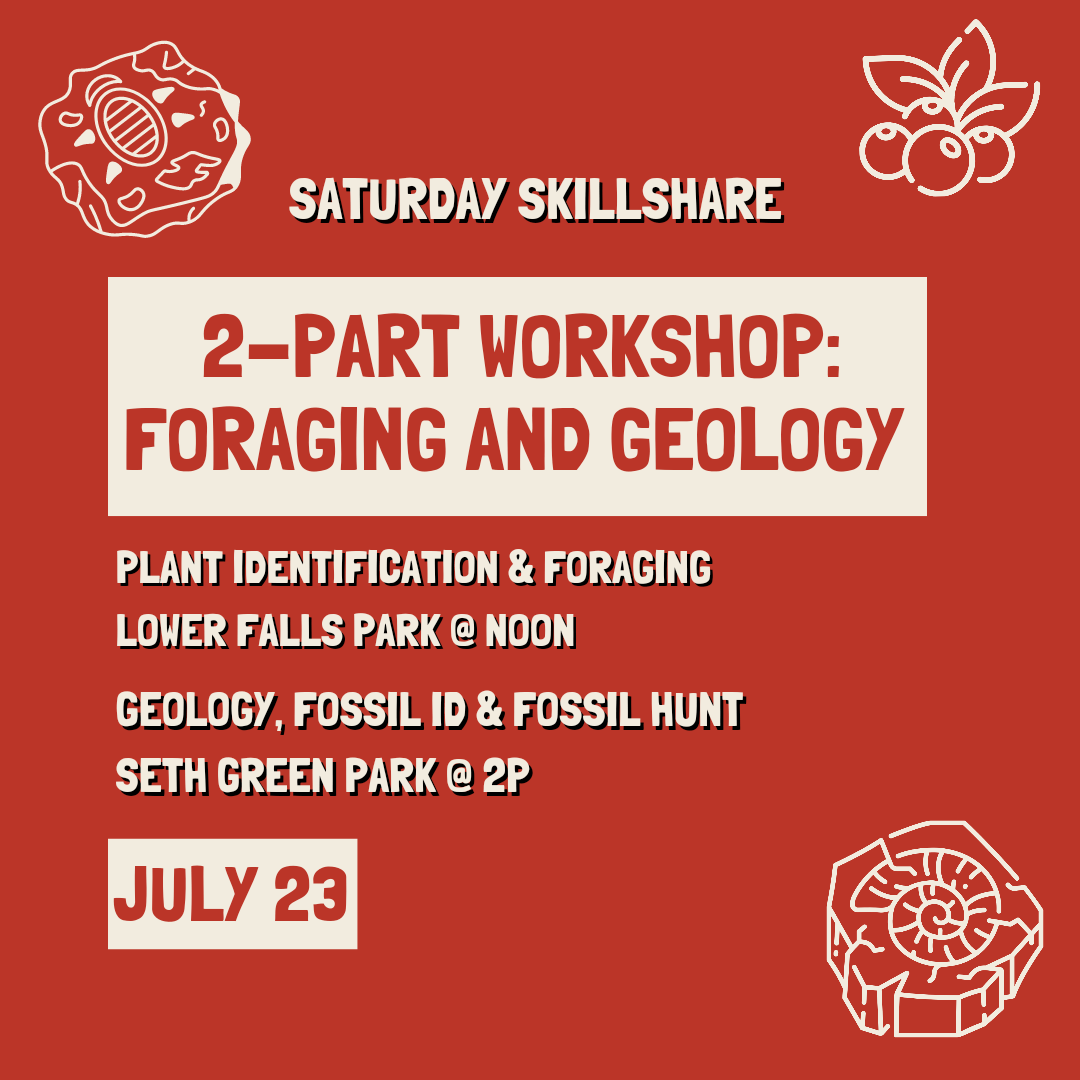 Roc Mutual Aid is doing skillshares on Foraging and Geology/Fossils