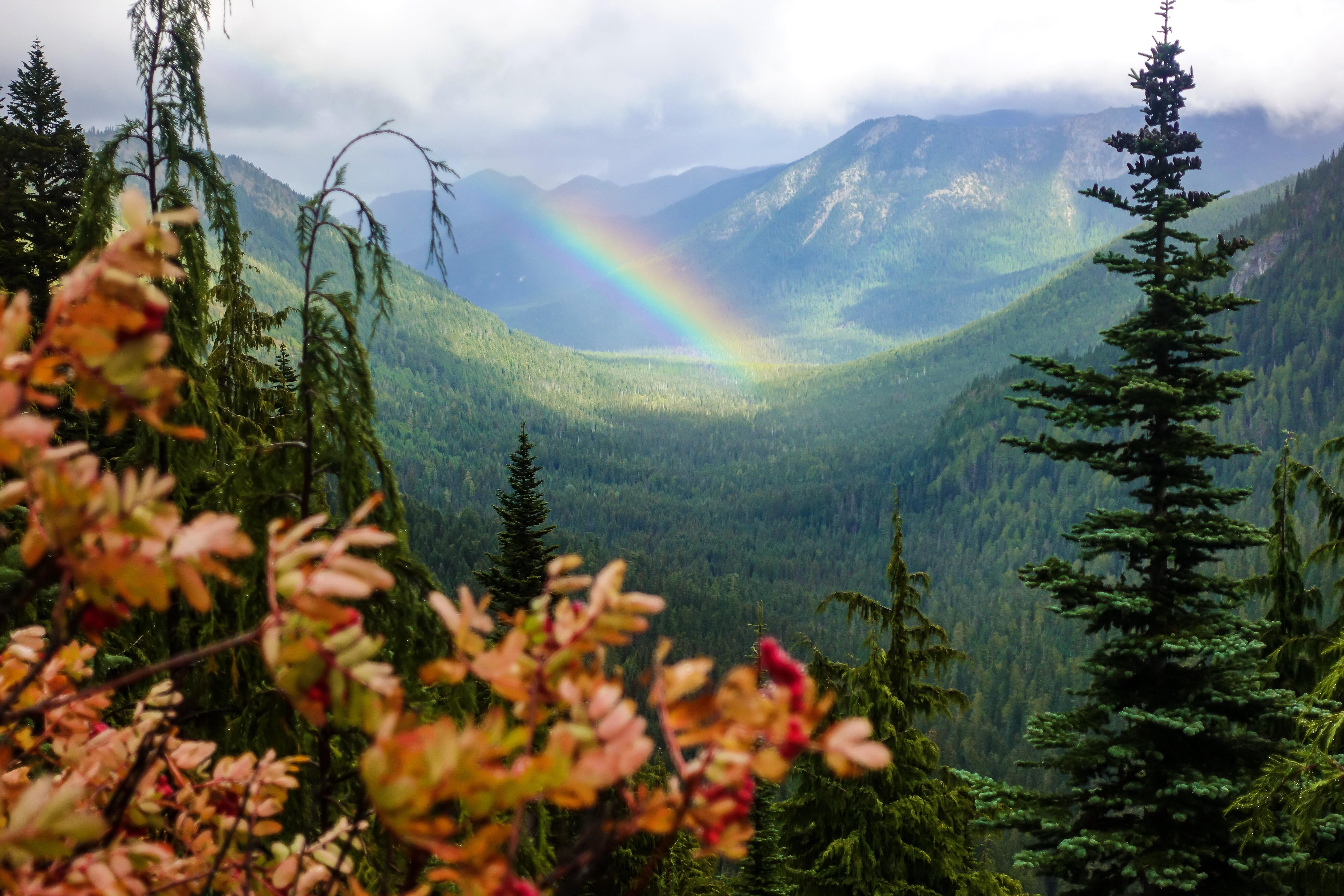 Interesting Photo of the Day Rainbow at Rainier National Park
