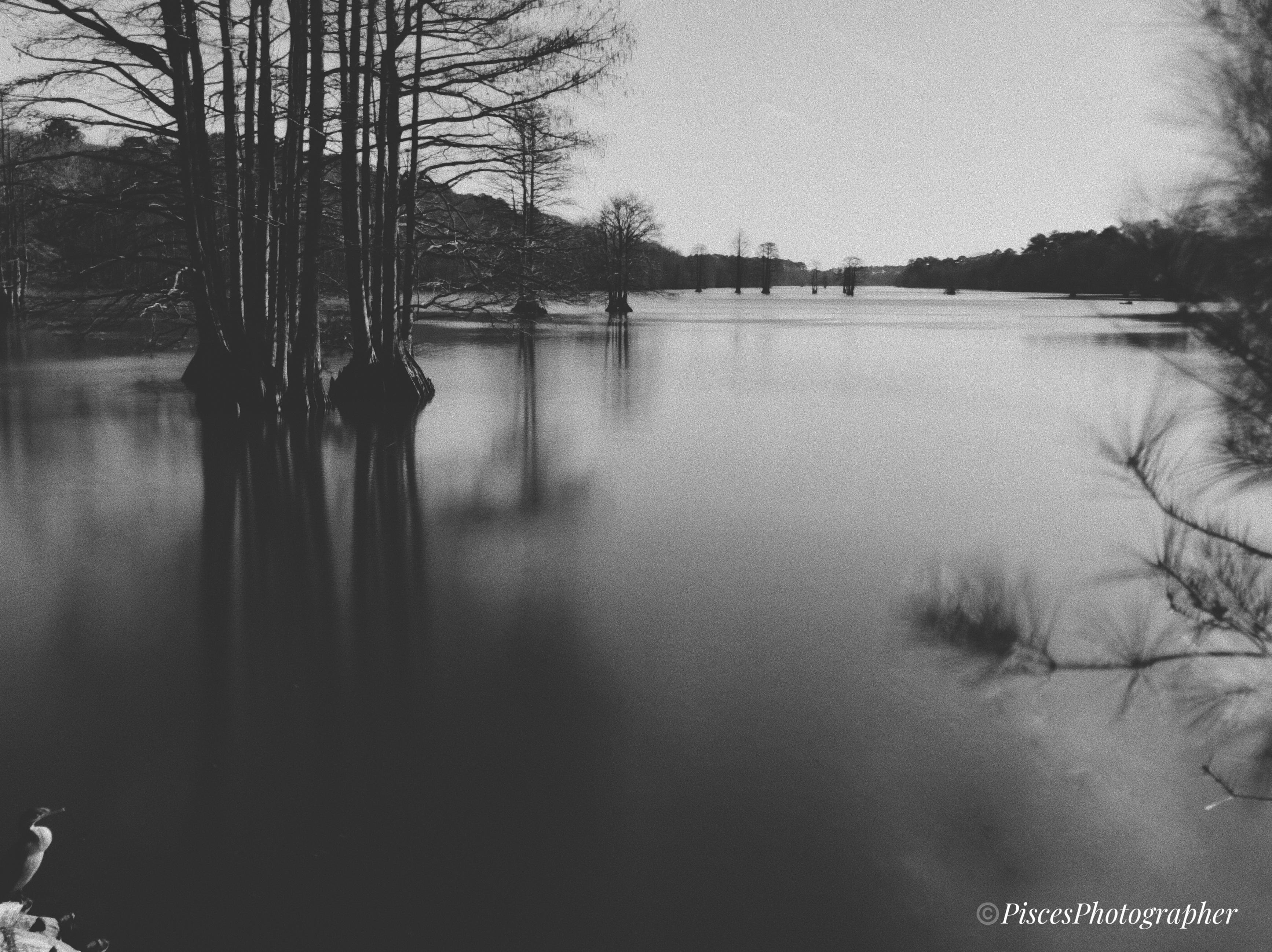 Stumpy Lake r/iPhoneography