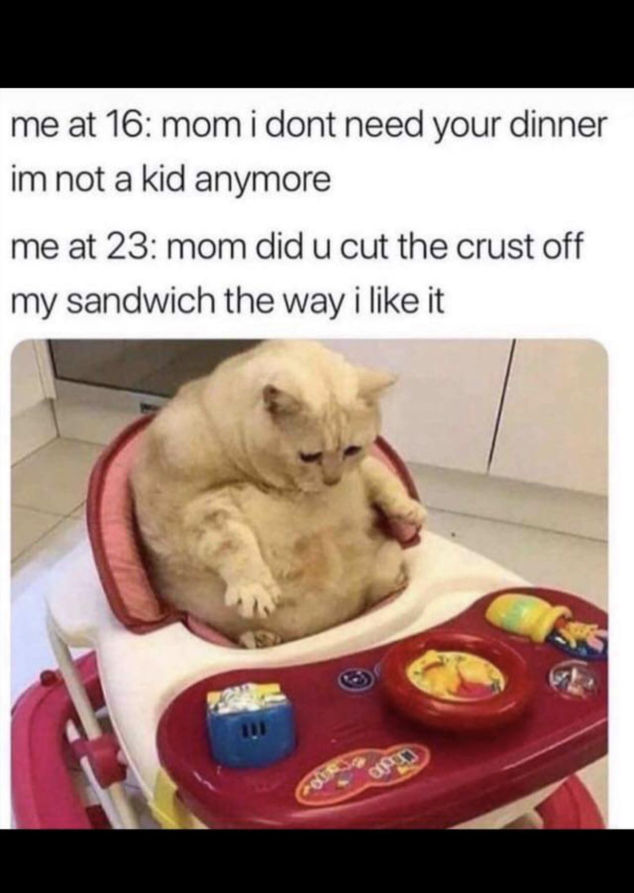 We can all relate. meme