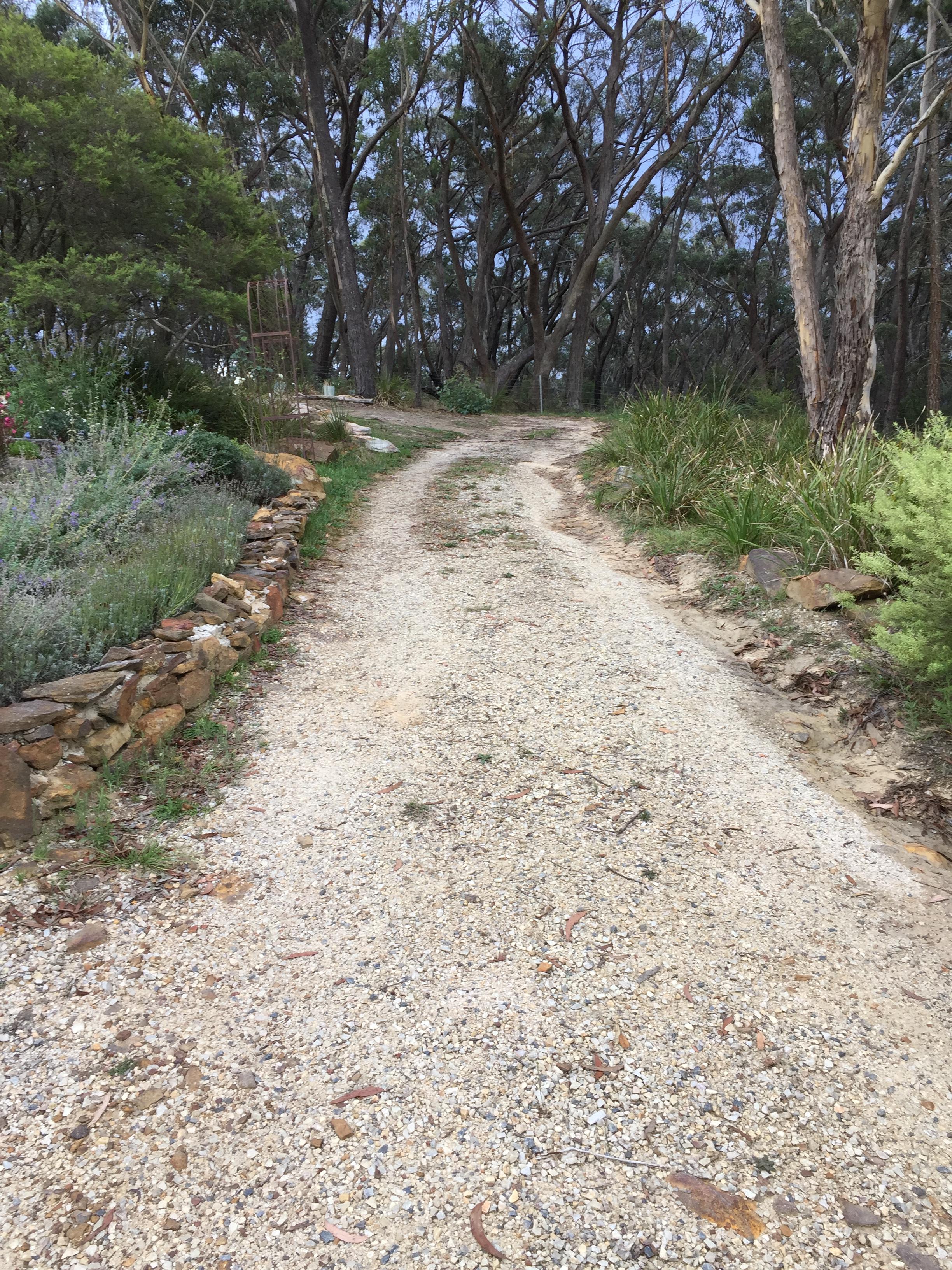 Need advice with a steep driveway and water run off. Any ideas on how