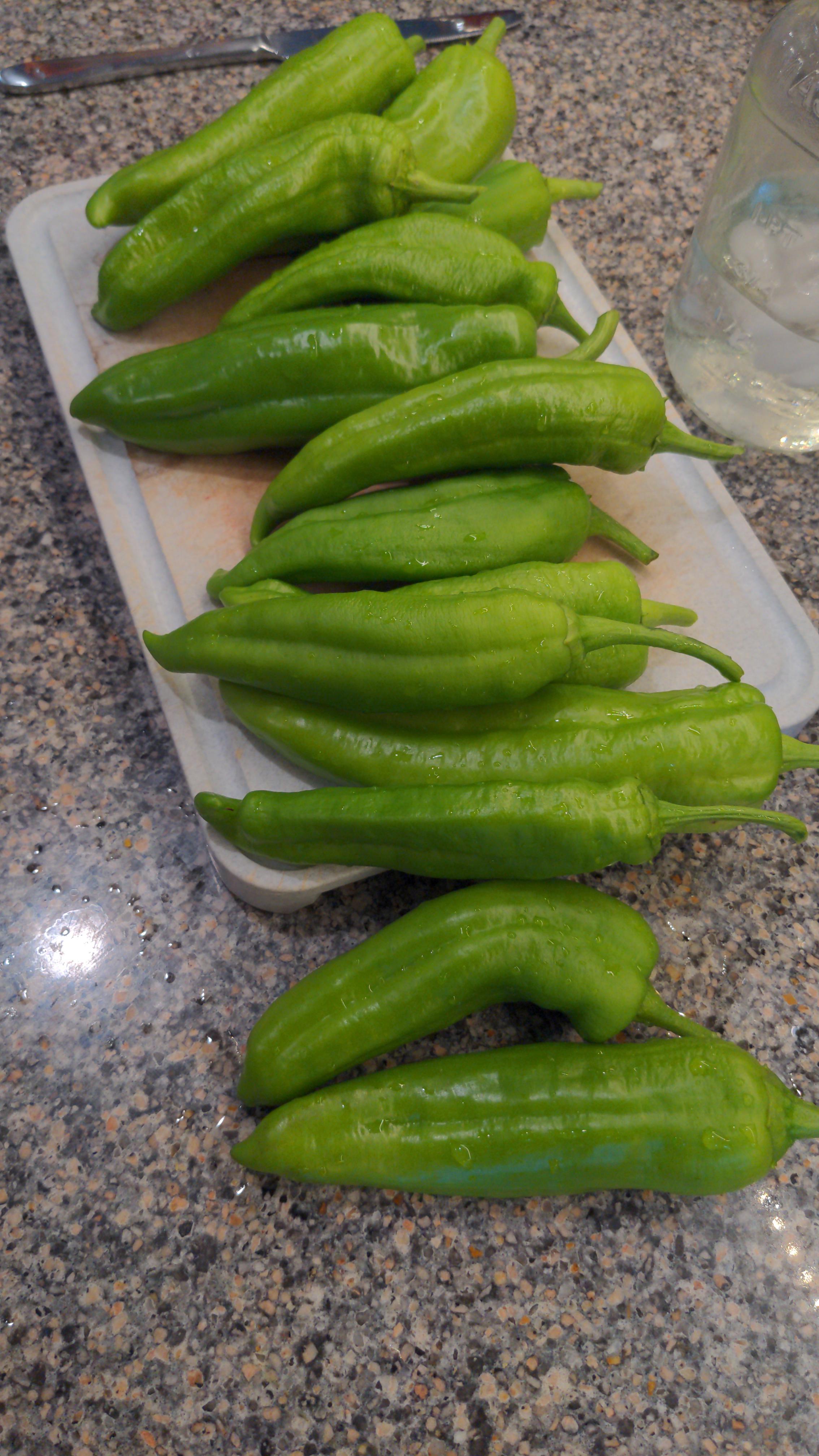 Thought I bought a jalapeno plant at Lowes, but I don't think jalapenos