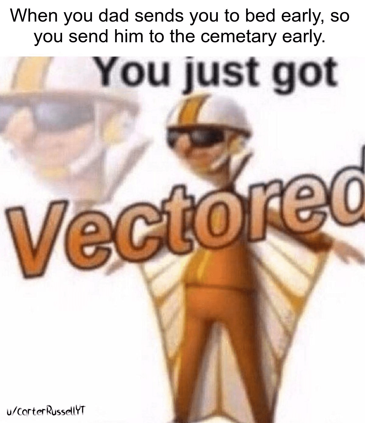 You've been vectored! meme