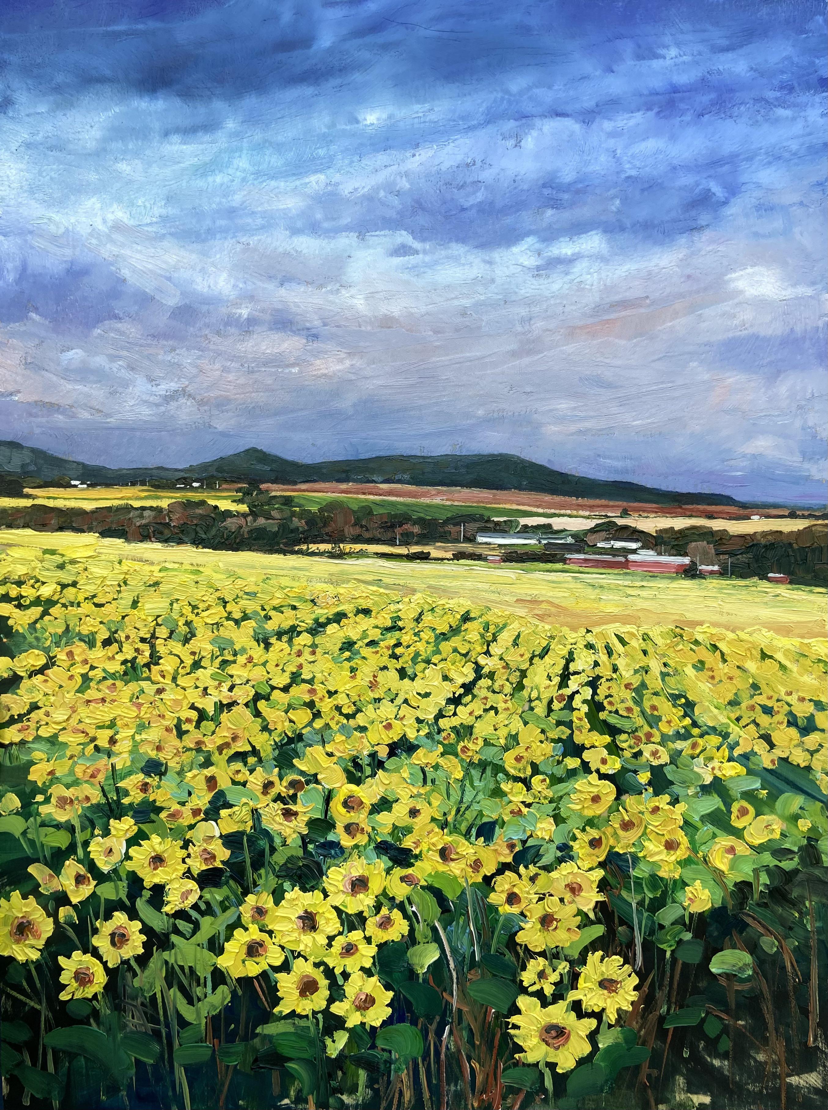The Sunflower field, Mapleton, ME. 16x12” oil on board. About 3hrs alla