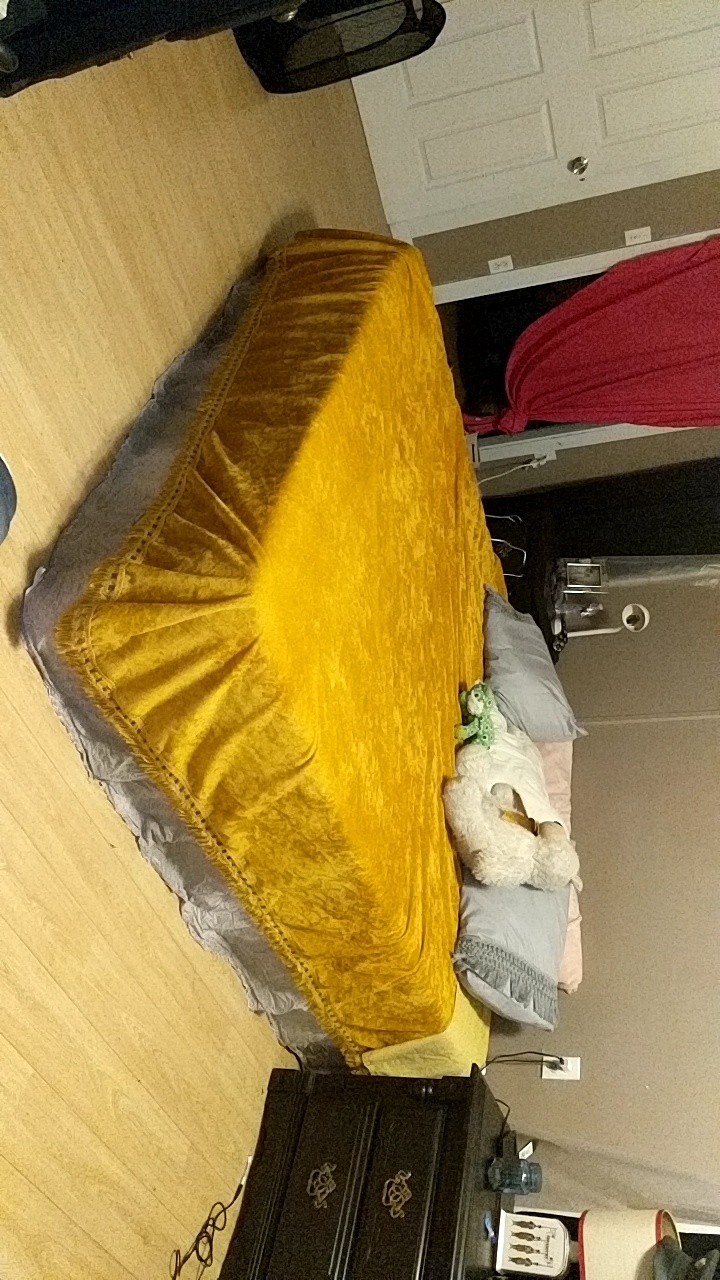 This mustard colored king size velvet blanket that I absolutely fell in