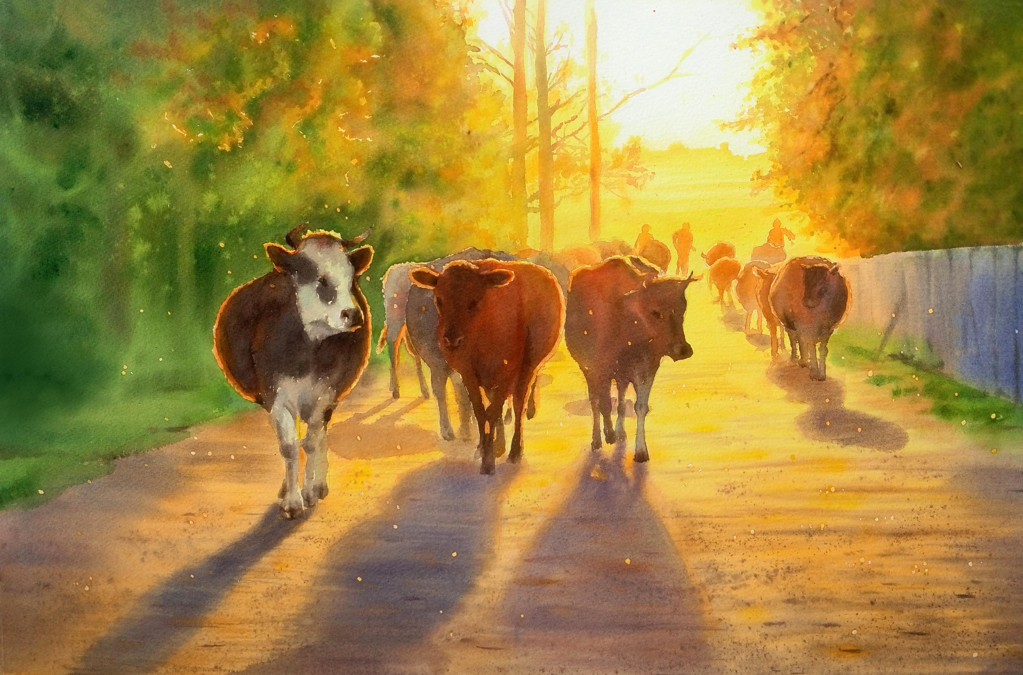 "Herd of cows", watercolor, by me,15 x 21 in, 2019 r/painting