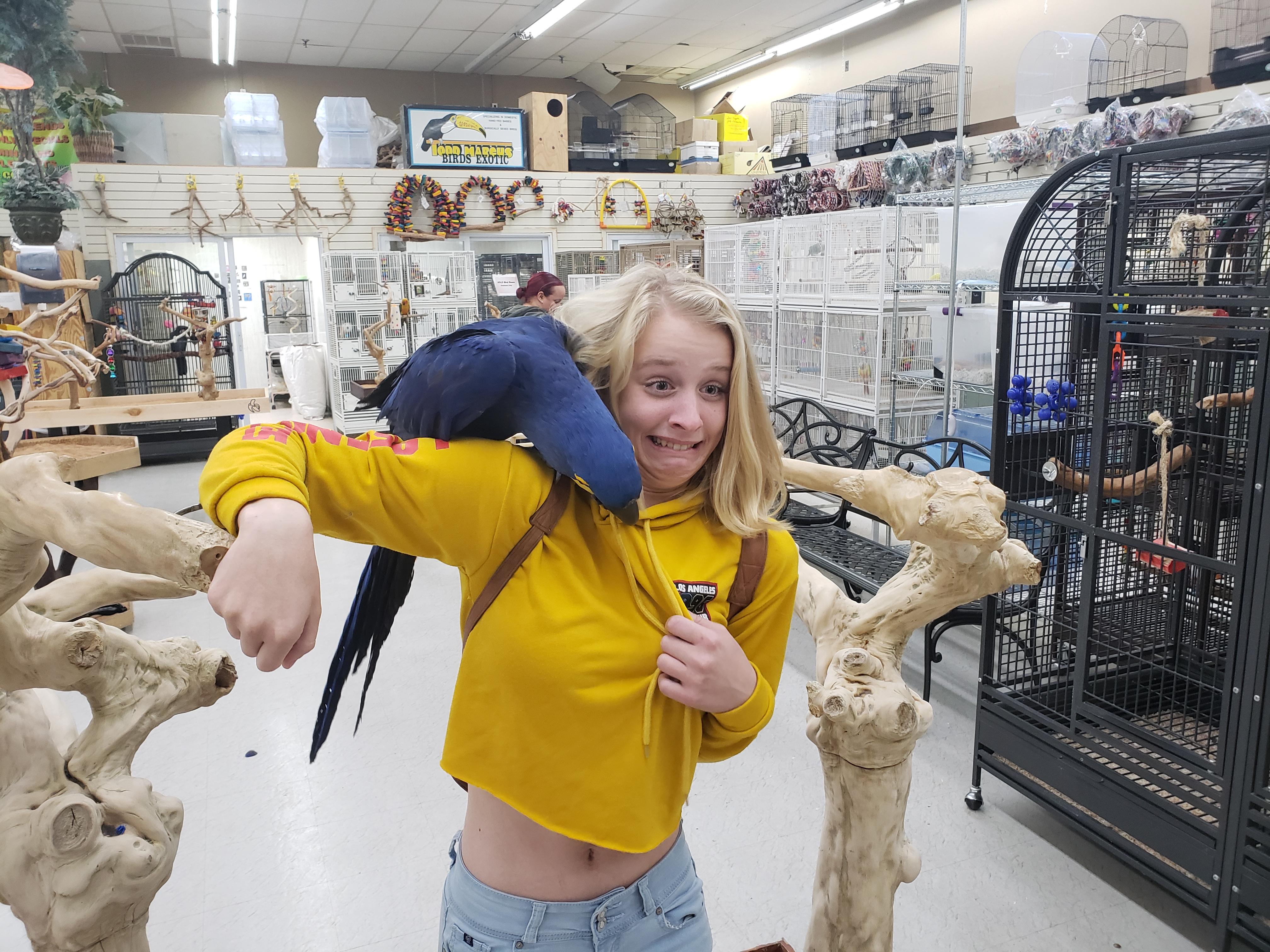 Took my friend to the bird store for the first time r/funny