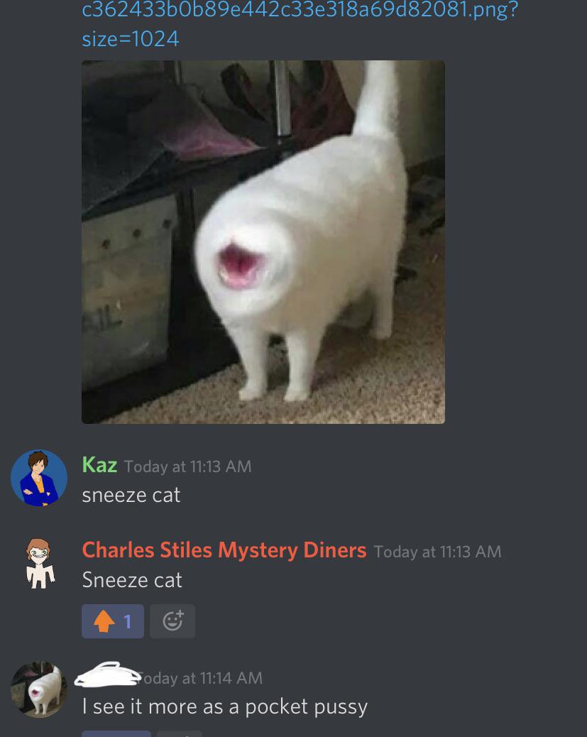 Cursed cat