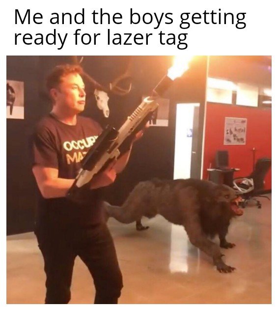 "Laser" tag memes