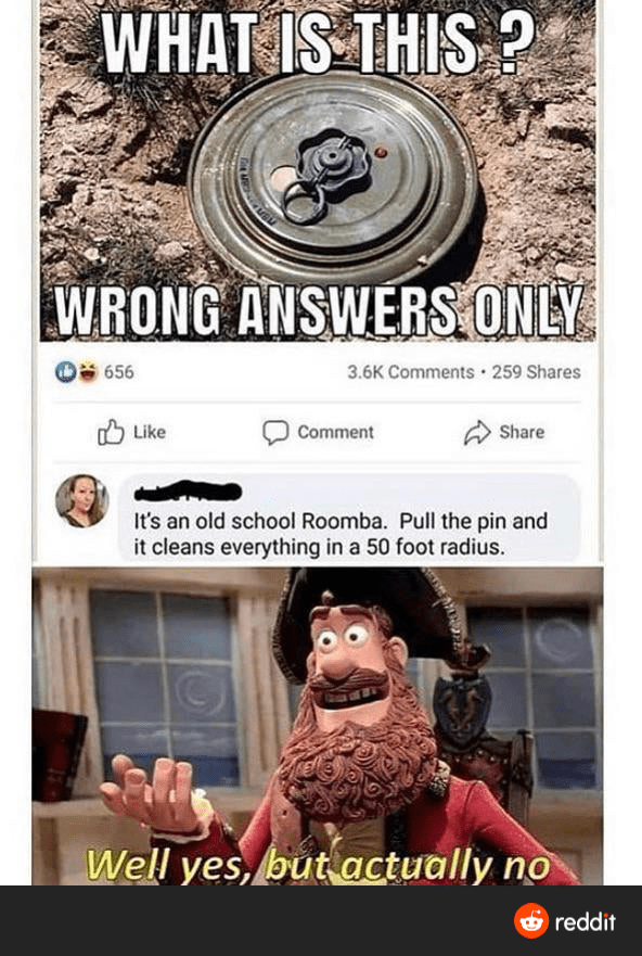 Most effective roomba ever. r/technicallythetruth