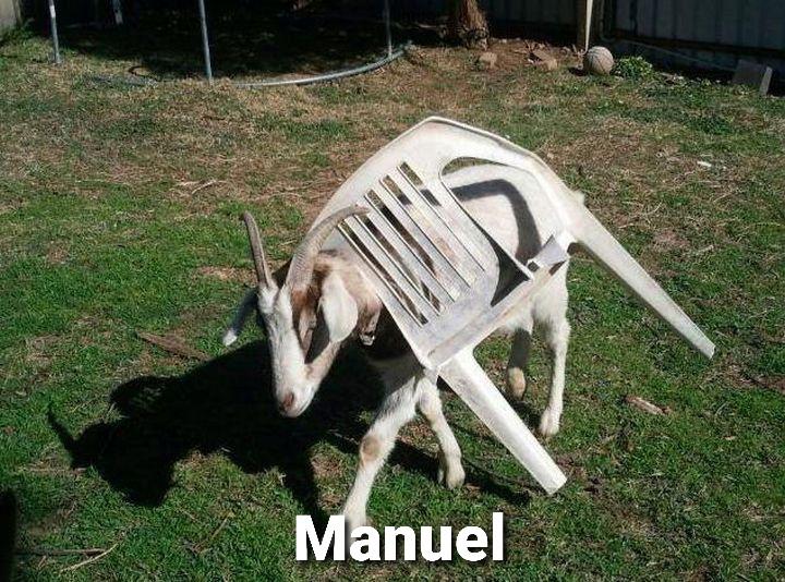 Manuel....the new Juan memes