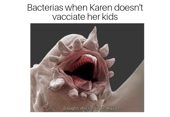 Damnit karen memes