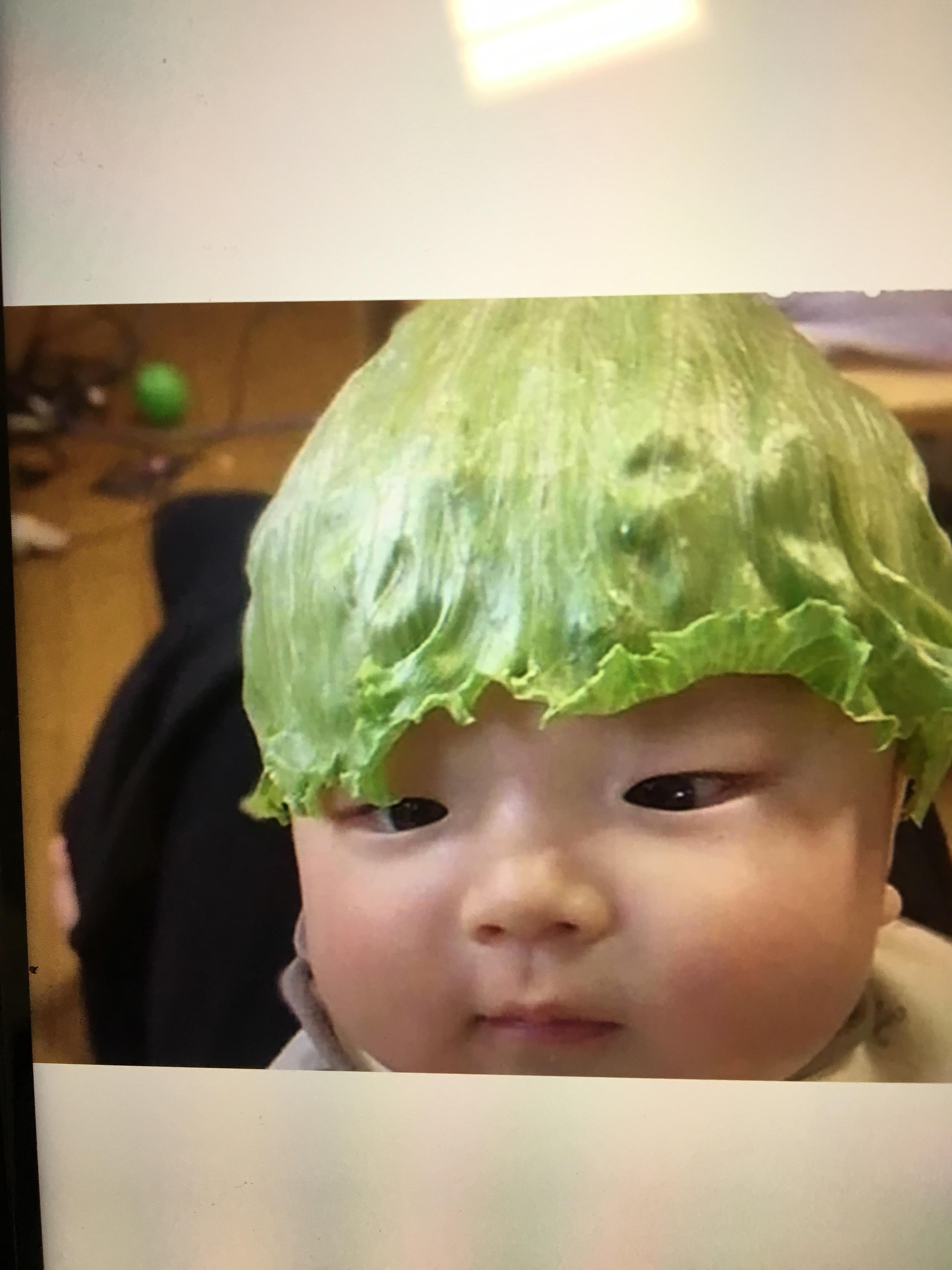 Lettuce Baby r/wholesomememes