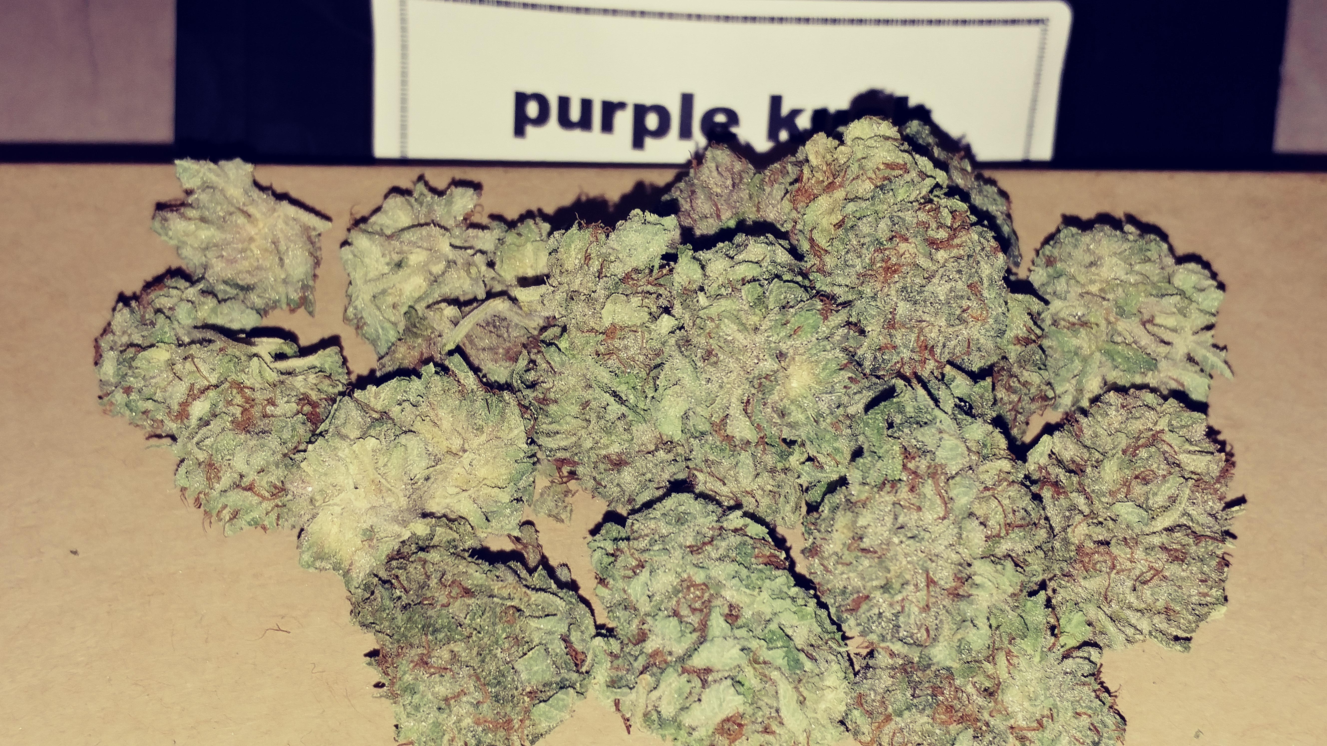Purple kush_hybridfast_99oz_jan r/MOMpics
