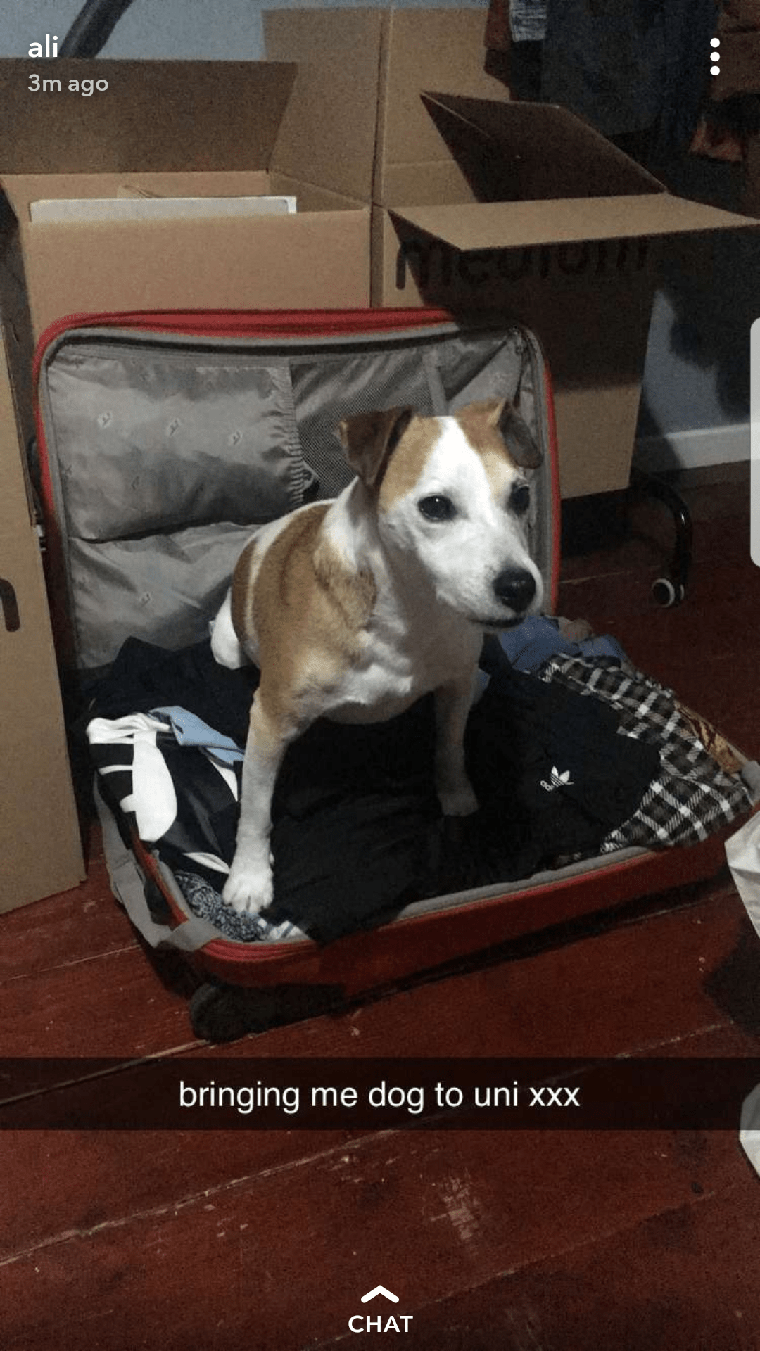 My dog won't allow my sister to leave r/cute